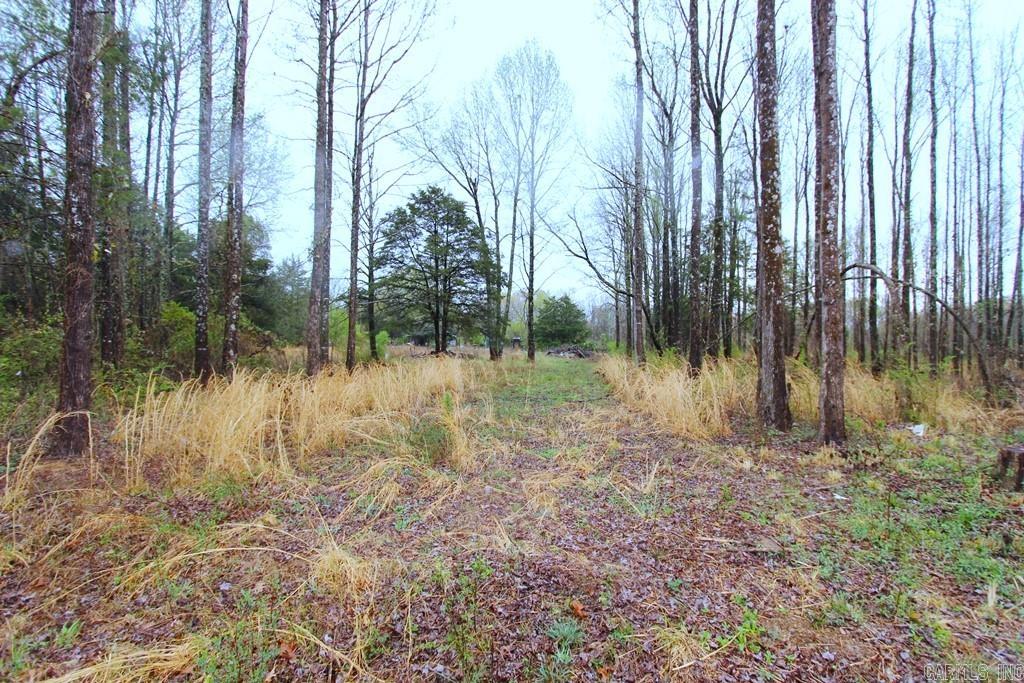 Fox Run II - Land