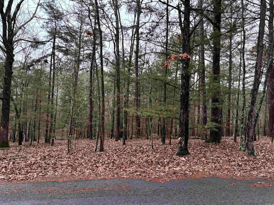Build your dream home in Mystic Isle subdivision! This tree-covered, interior lot is just minutes away from many amenities such as Greers Ferry Lake, Devils Fork Park, and Fairfield Bay making prime real estate for a fisherman and/or outdoorsman. Just a few hundred feet from Greers Ferry Lake's shore, this property offers a peaceful environment perfect for your Airbnb/Vrbo or forever home.