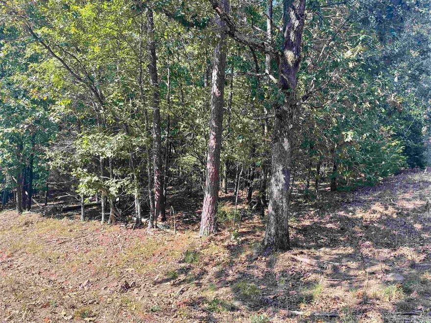 Perfect Lot for your Dream home in established Mystic Isle Subdivision! Beautiful wooded lot close to Greers Ferry Lake, Marina's and several locations to launch your boat. Call today and let's go see it!