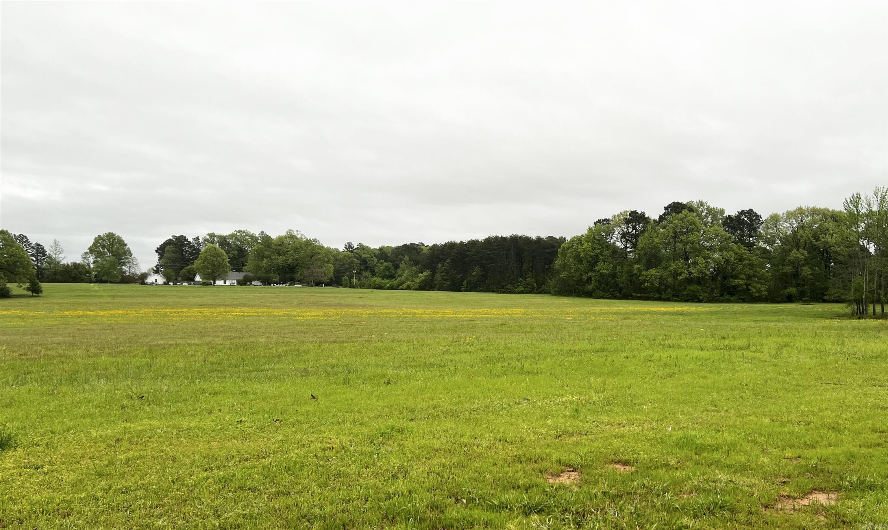 Discover countryside living on this 10+ acre parcel including a picturesque pond, ideal for fishing and relaxation! Envision your custom built home nestled in the greenery with plenty of additional space for toys & hobbies! Property goes back to Milner Rd.**agents see remarks