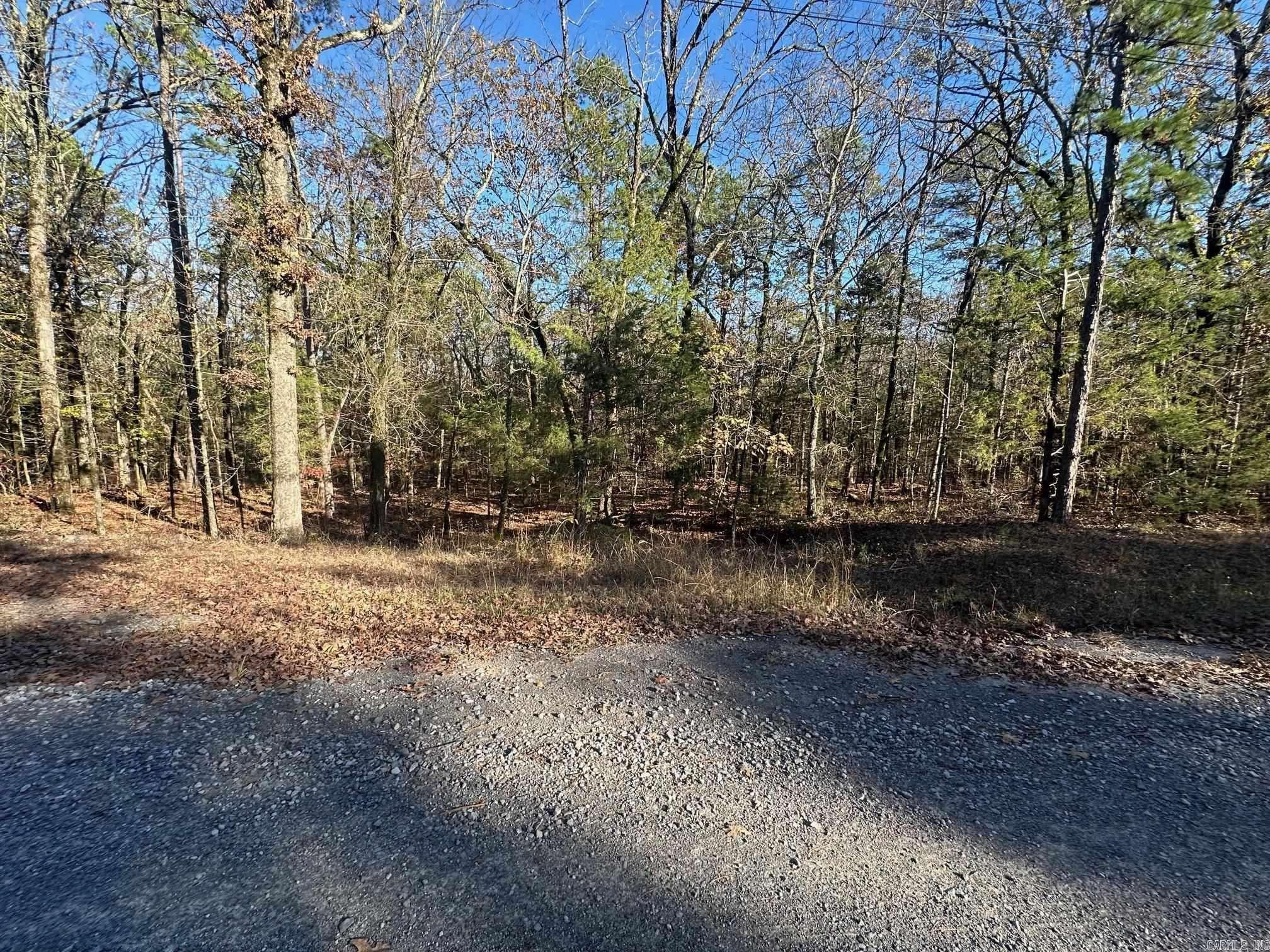 This 2.39 acres lot is located in Timber Lake Subdivision! This property is considered lake front as it borders Corp of Engineers White line. Fairly level with a long, easy walk to shoreline. Lots of trees that block highway noise. No mobile homes allowed and single family home must have no less than ground floor area of 1,000 sqft.