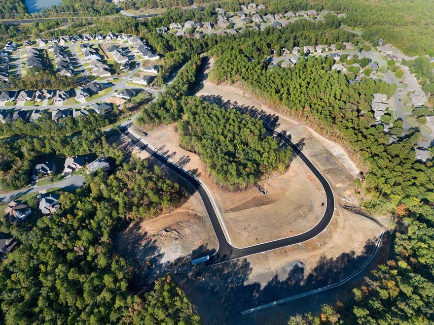 Only a few remaining lots in Calion Court, off Chalamont drive near Chenal Parkway in West Little Rock.  Here you get a beautifully developed neighborhood with natural scenery and walkable streets, plus convenient access to Chalamont Park, retail, restaurants, schools and more.  This is where you want to live!