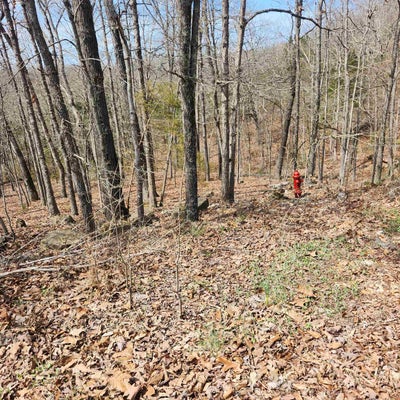 L-6, B11 FLATHEAD DRIVE, CHEROKEE VILLAGE, AR 72529 - Image d76a83fd099f94bd99c533e2dfc78d85/799257544