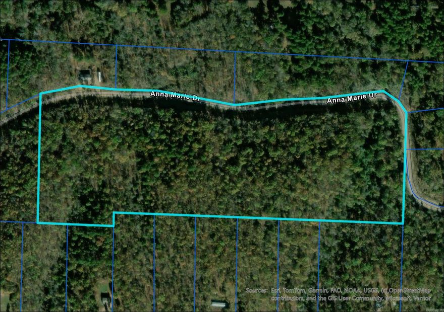 Quiet, peaceful, wooded setting with utilities available at the road, Anna Marie Drive is ready for you!  Make this gorgeous piece of Arkansas yours today! Note: Property is listed multiple ways, address is not the official address, just the lot number. *Lot lines are estimates and not survey accurate