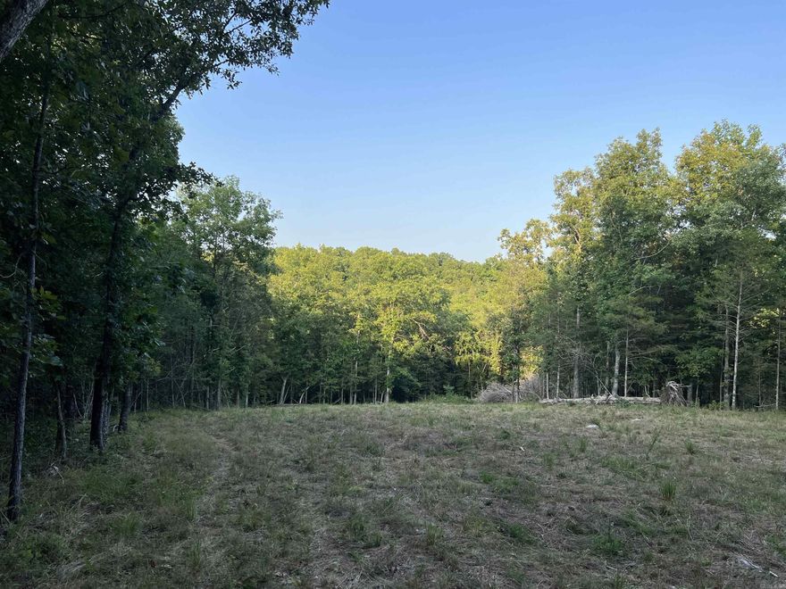 Come check out this 4.71 Acres m/l with large trees and nice cleared building sight. Drilled water well (no pump) and No Restrictions. The property is close to a Bear Creek access with fishing availability. This is a must see for a private home place to build.