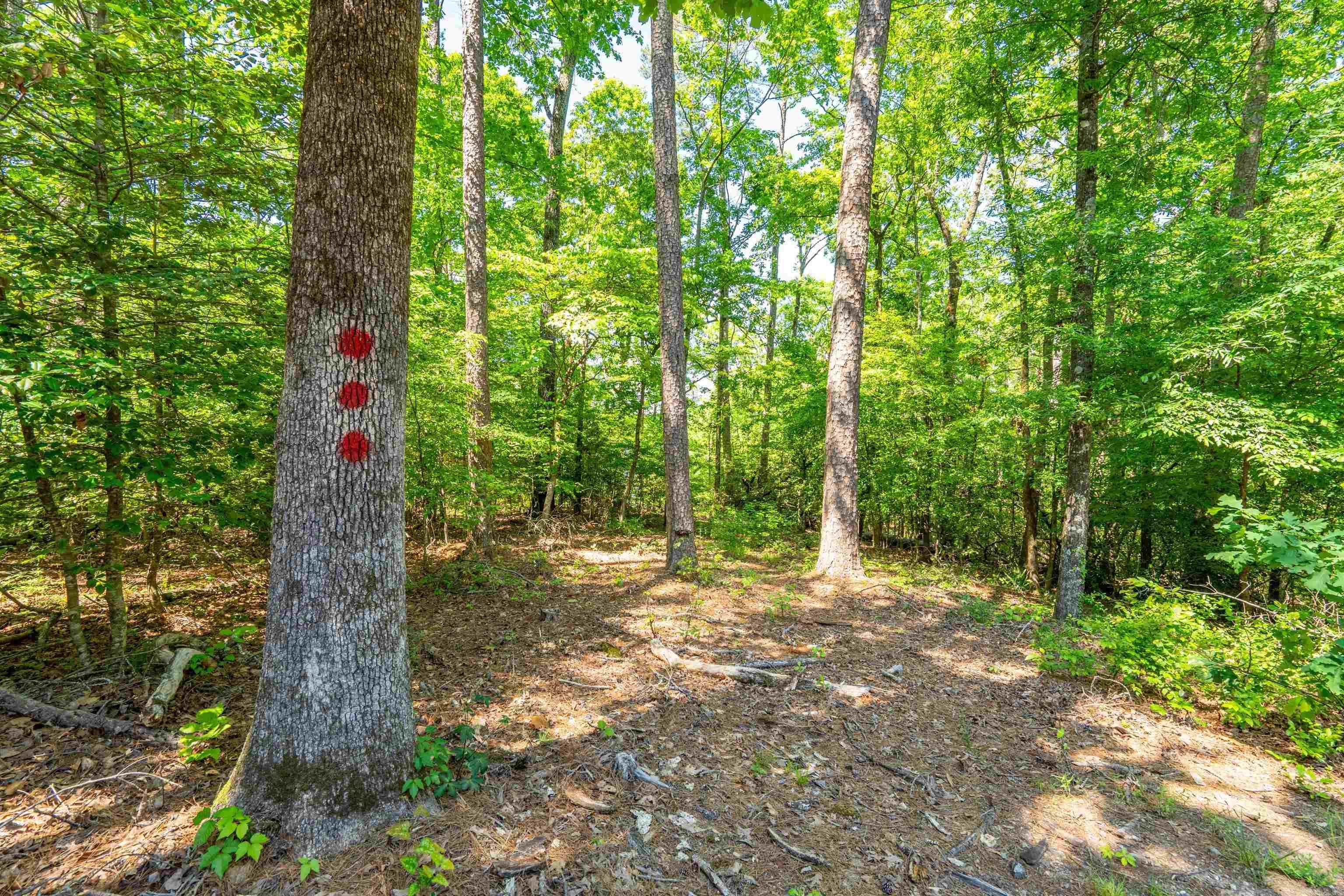 SILVER POINT CONDOS - Residential