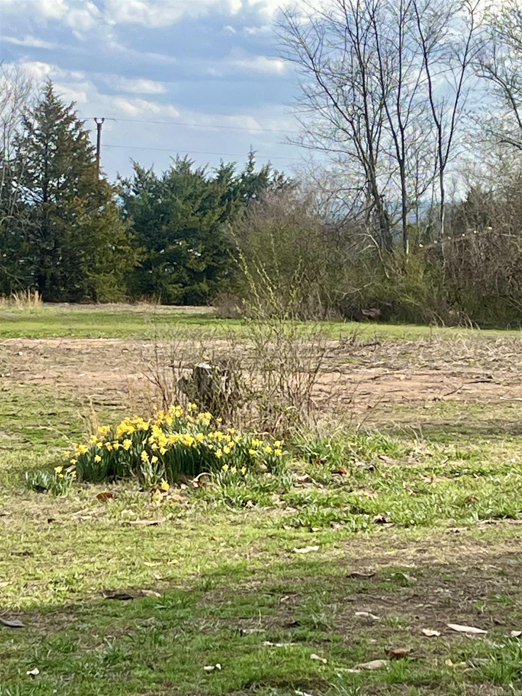 Not in Subdivision - Land