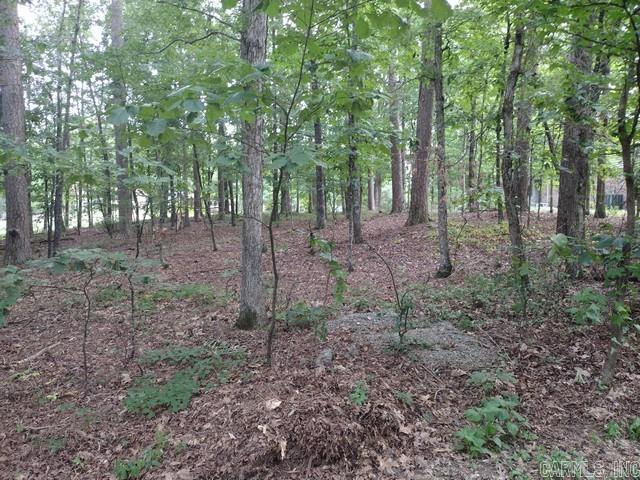 Nice buildable lot on Cortez golf course #16 fairway. Lot 006 Block 01 Sendero Subdivision, Garland County, Hot Springs Village AR $250 Buy-In fee for HSV POA for first time buyers ($300 starting 01/01/2025).