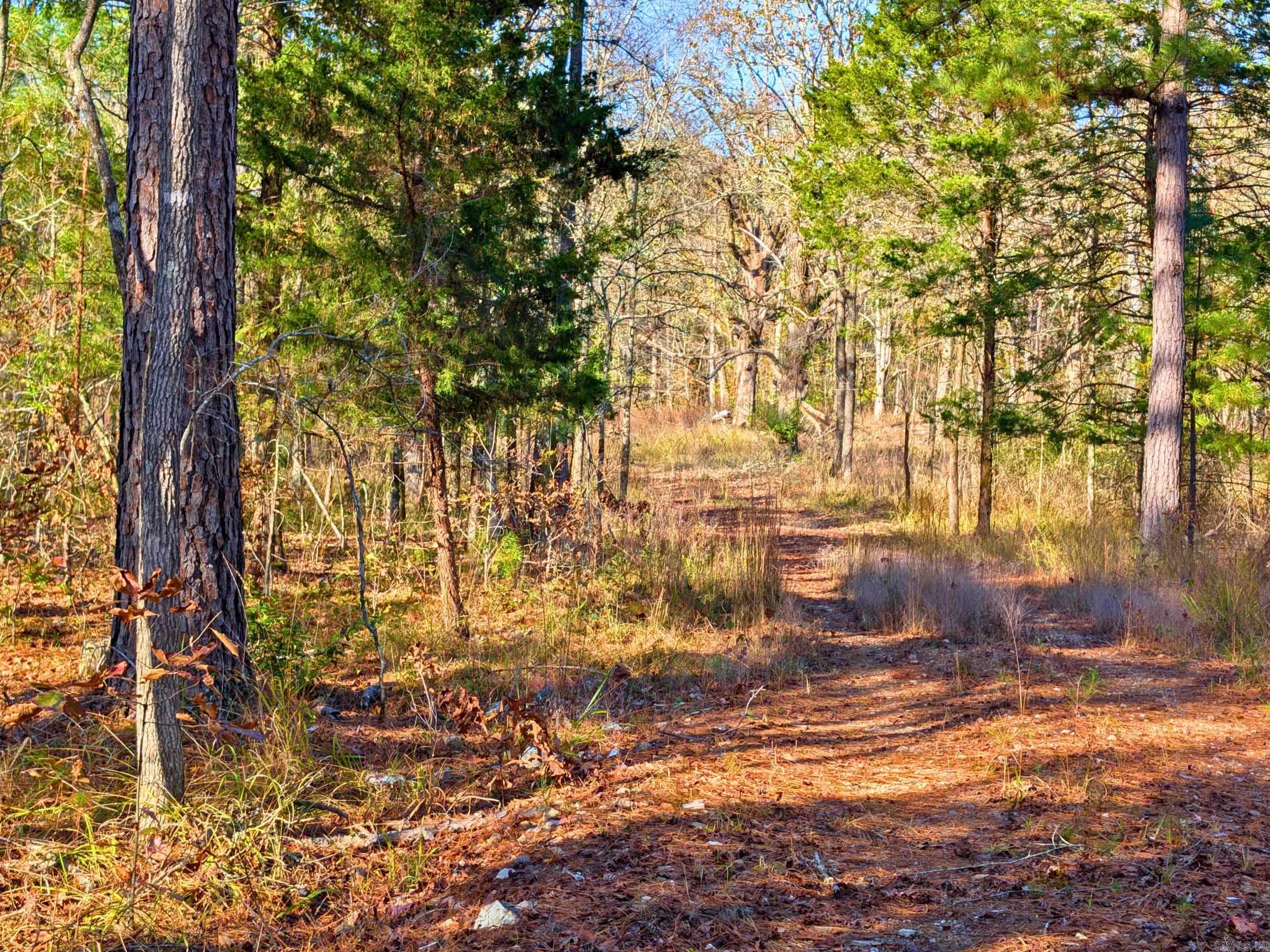 Metes & Bounds - Land