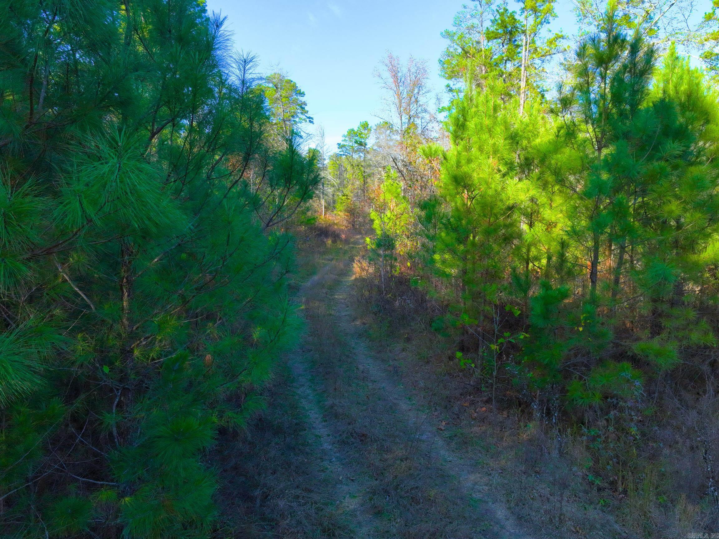 Metes & Bounds - Land