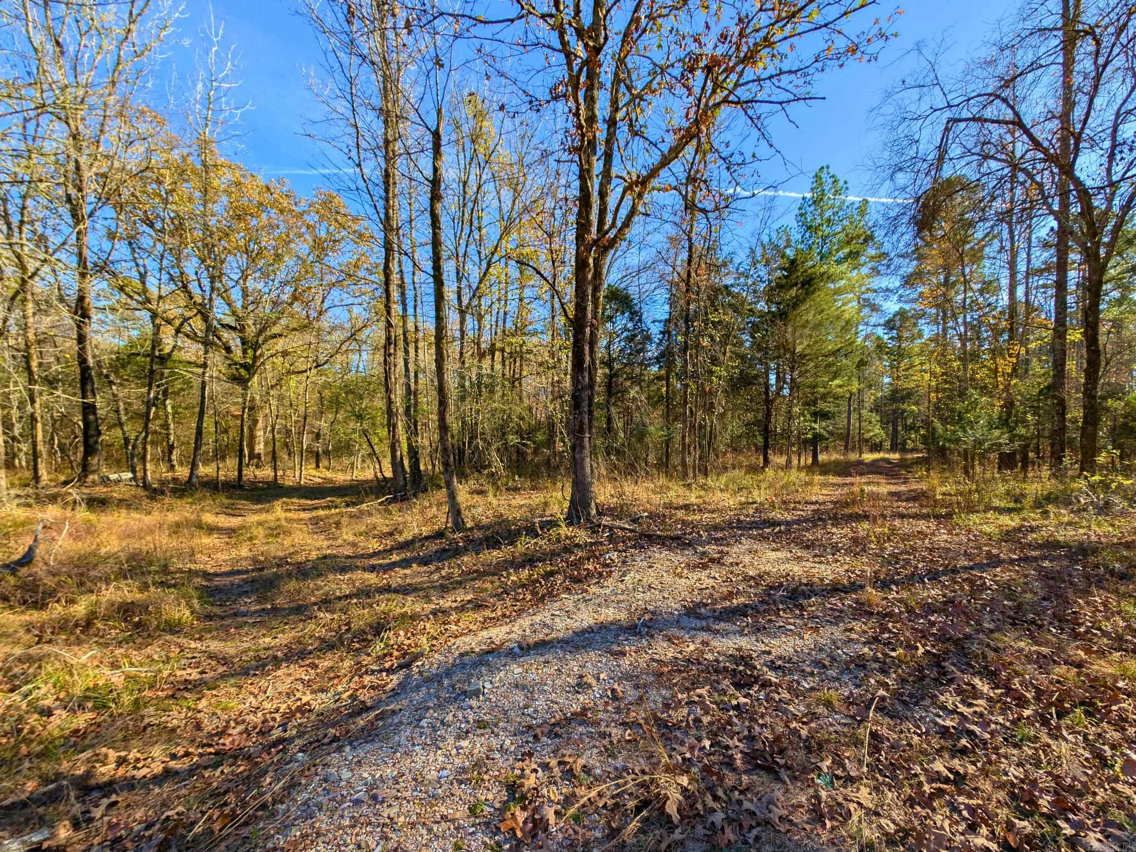 LESS THAN 10 MINUTES FROM LAKE OUACHITA!! 36 BEAUTIFULLY SERENE ACRES MOL IN JESSIEVILLE SCHOOL DISTRICT WITH FANTASTIC BUILDING SPOTS! NO RESTRICTIONS! CAN BE SUBDIVIDED! ELECTRIC and WATER ON PROPERTY! GORGEOUS CREEK ON PROPERTY! APPROXIMATELY 5 MILES FROM LAKE OUACHITA AT NORTHSHORES MARINA! WILDLIFE GALORE! EXCELLENT STARLINK INTERNET SERVICE!