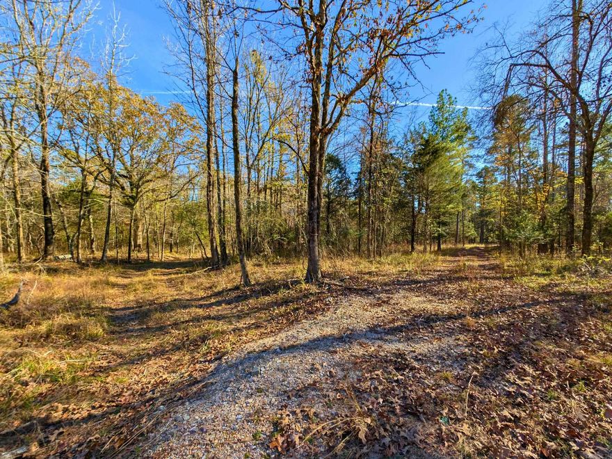 LESS THAN 10 MINUTES FROM LAKE OUACHITA!! 36 BEAUTIFULLY SERENE ACRES MOL IN JESSIEVILLE SCHOOL DISTRICT WITH FANTASTIC BUILDING SPOTS! NO RESTRICTIONS! CAN BE SUBDIVIDED! ELECTRIC and WATER ON PROPERTY! GORGEOUS CREEK ON PROPERTY! APPROXIMATELY 5 MILES FROM LAKE OUACHITA AT NORTHSHORES MARINA! WILDLIFE GALORE! EXCELLENT STARLINK INTERNET SERVICE! **Can Be Subdivided! 10 acres for $99,900! Or divide another way!