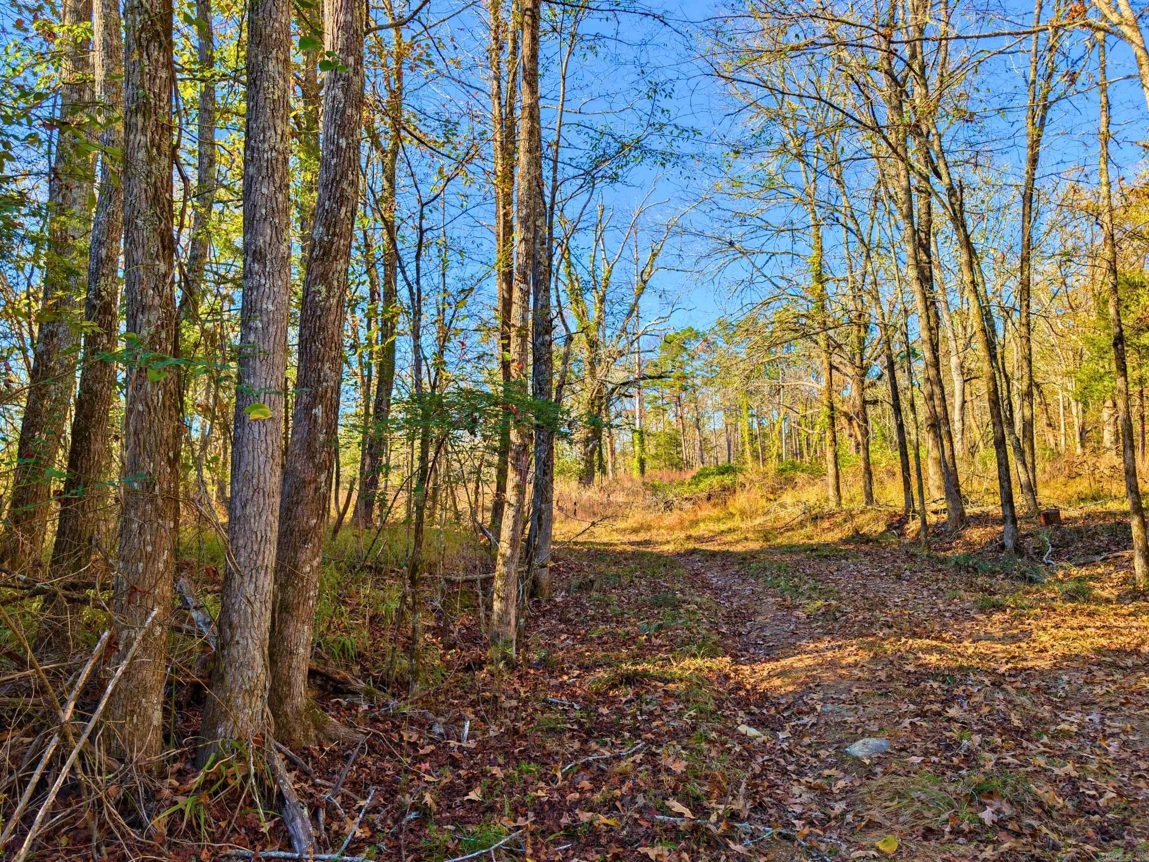 Metes & Bounds - Land