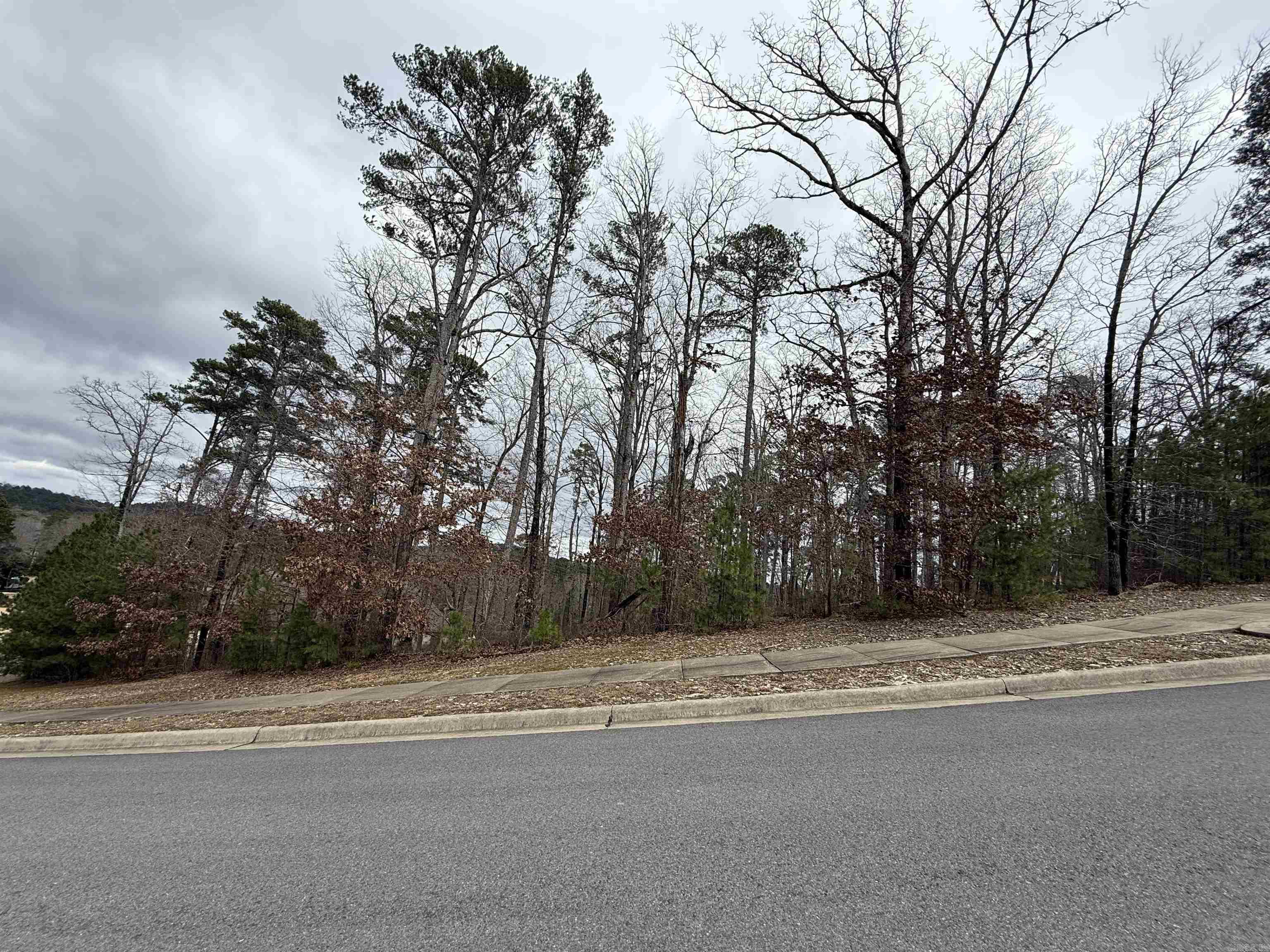 CHENAL VALLEY "ACCADIA COURT" - Land