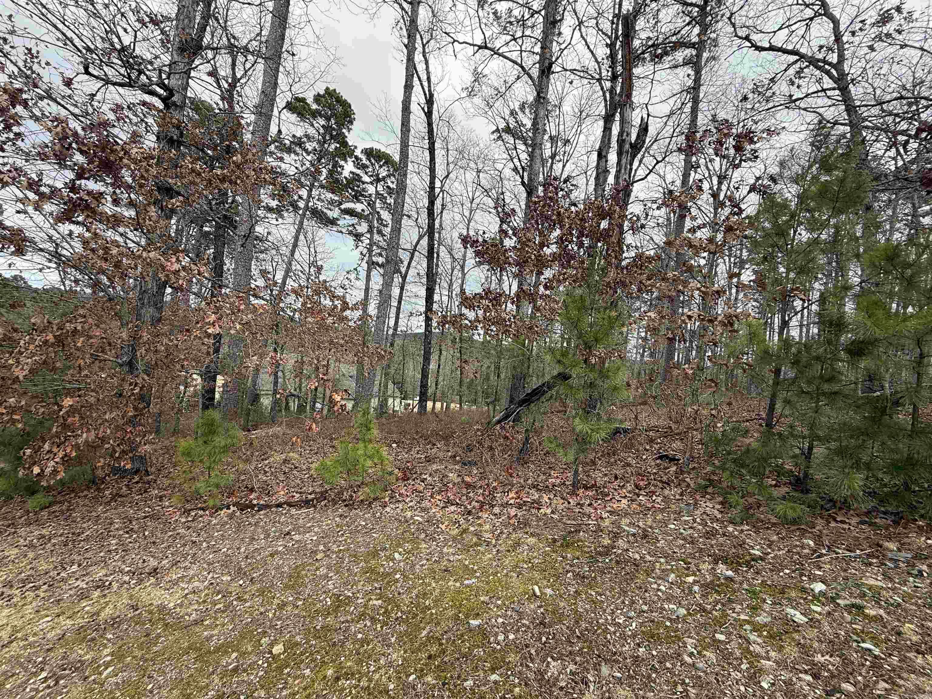 CHENAL VALLEY "ACCADIA COURT" - Land