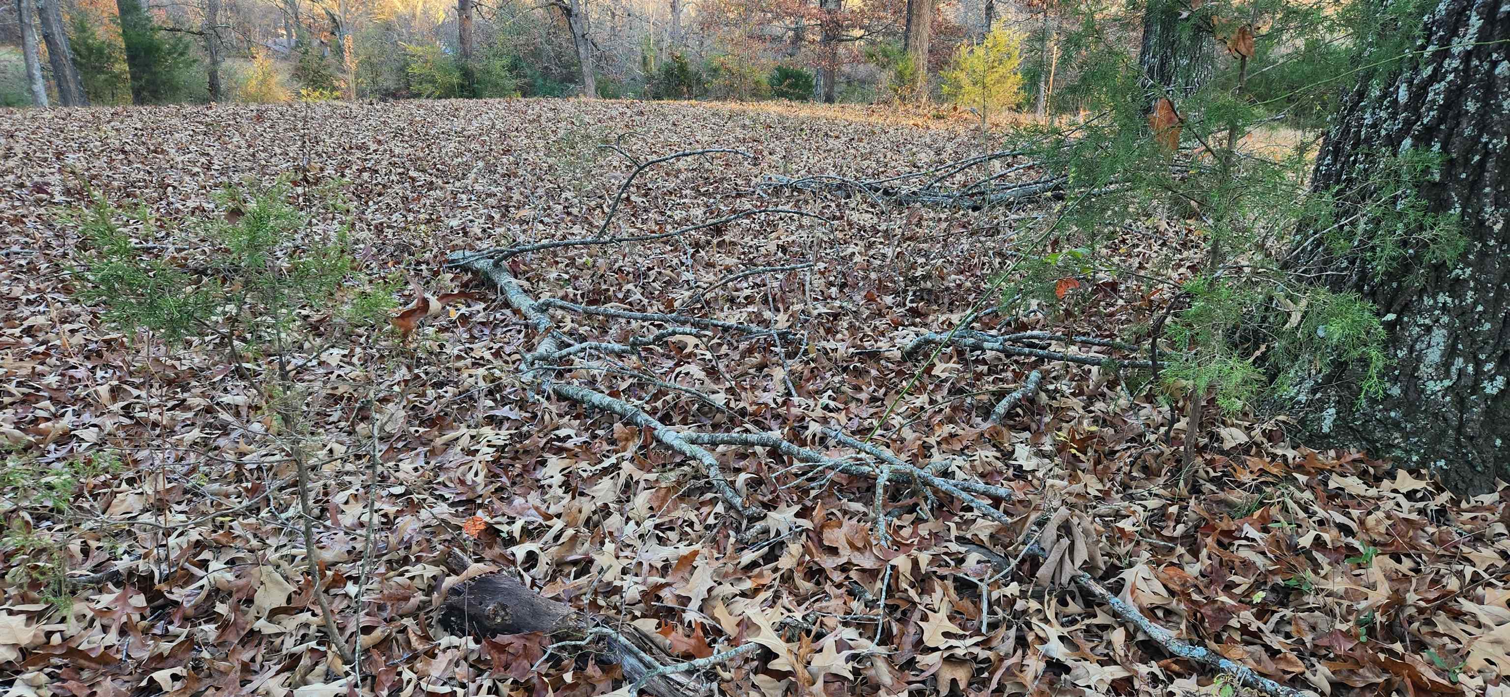 Metes & Bounds - Land