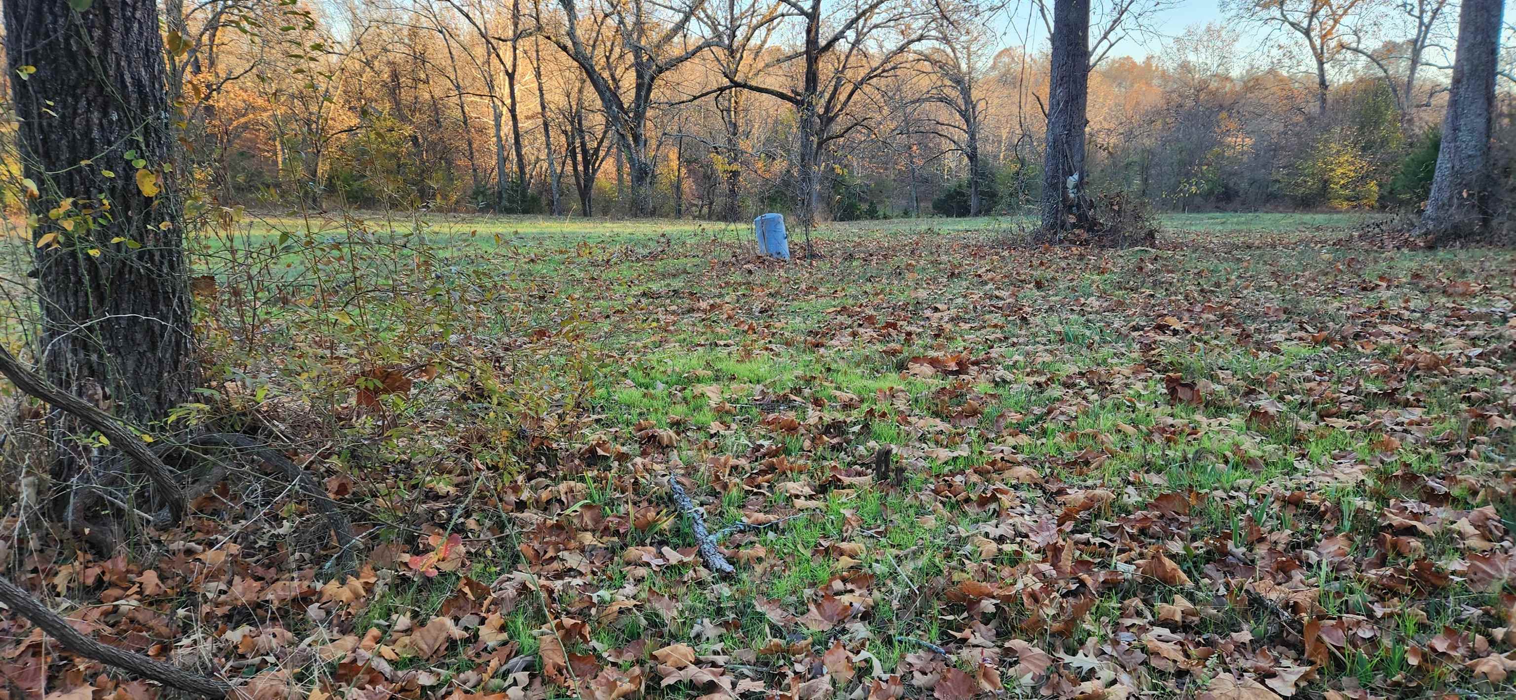 Metes & Bounds - Land