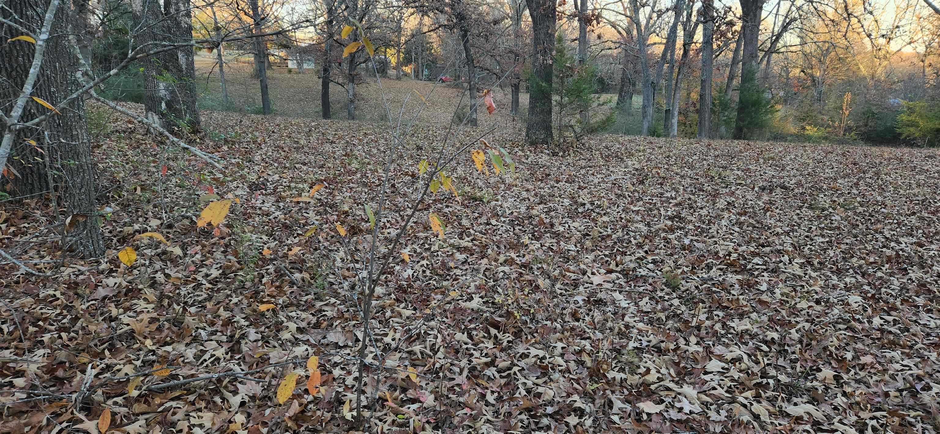 Metes & Bounds - Land