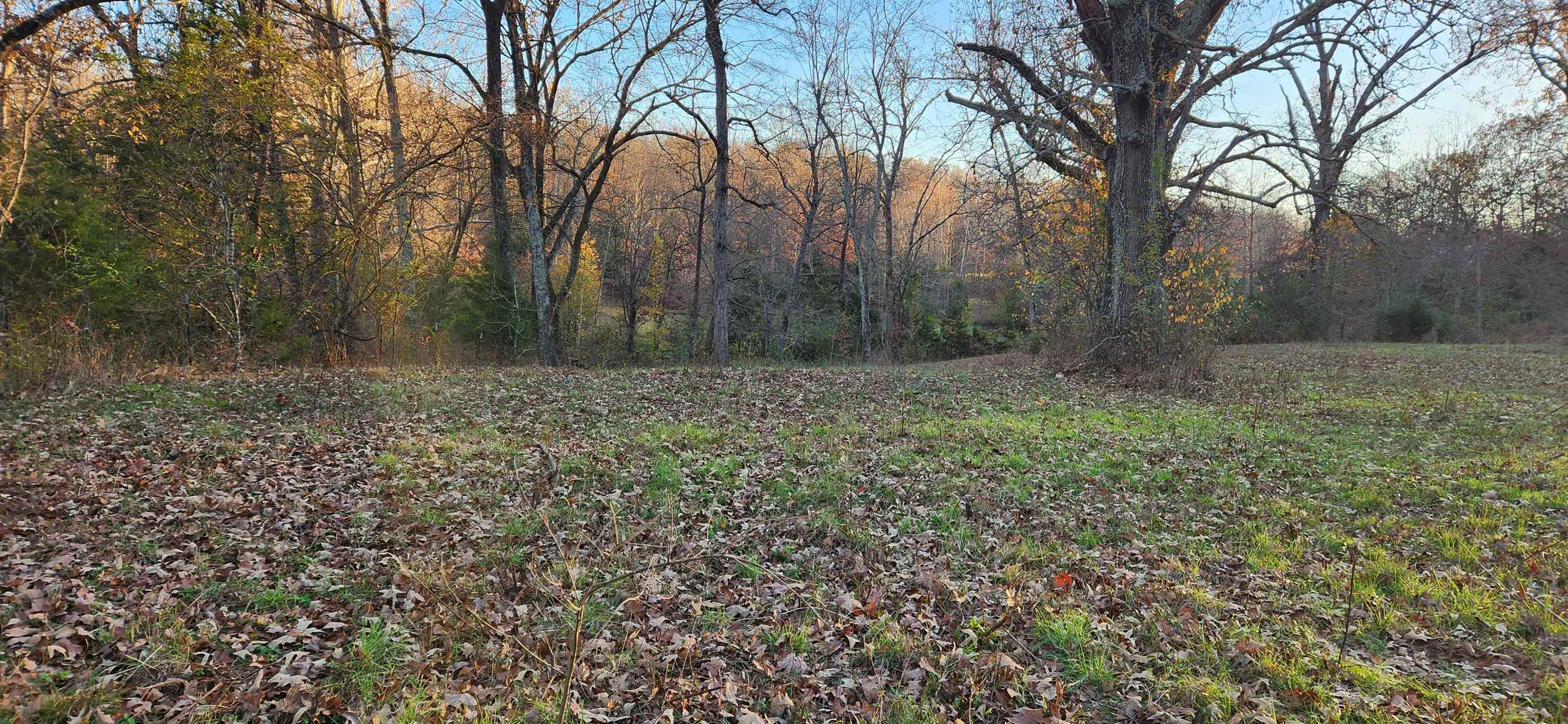 Metes & Bounds - Land