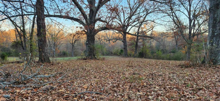 Great location just outside the Main Street/Downtown area of Mammoth Spring! Close to Mammoth Spring schools, and the beautiful Spring River!