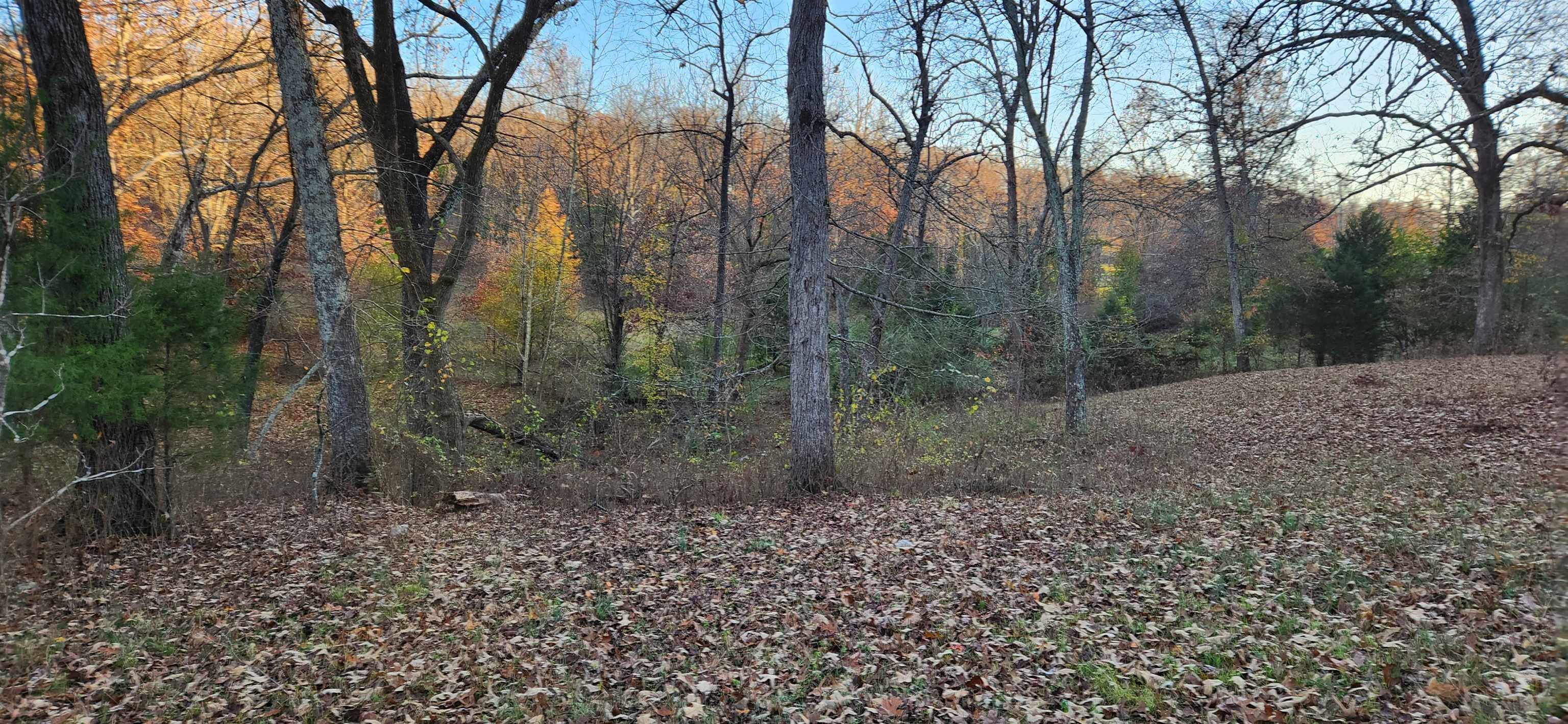 Metes & Bounds - Land