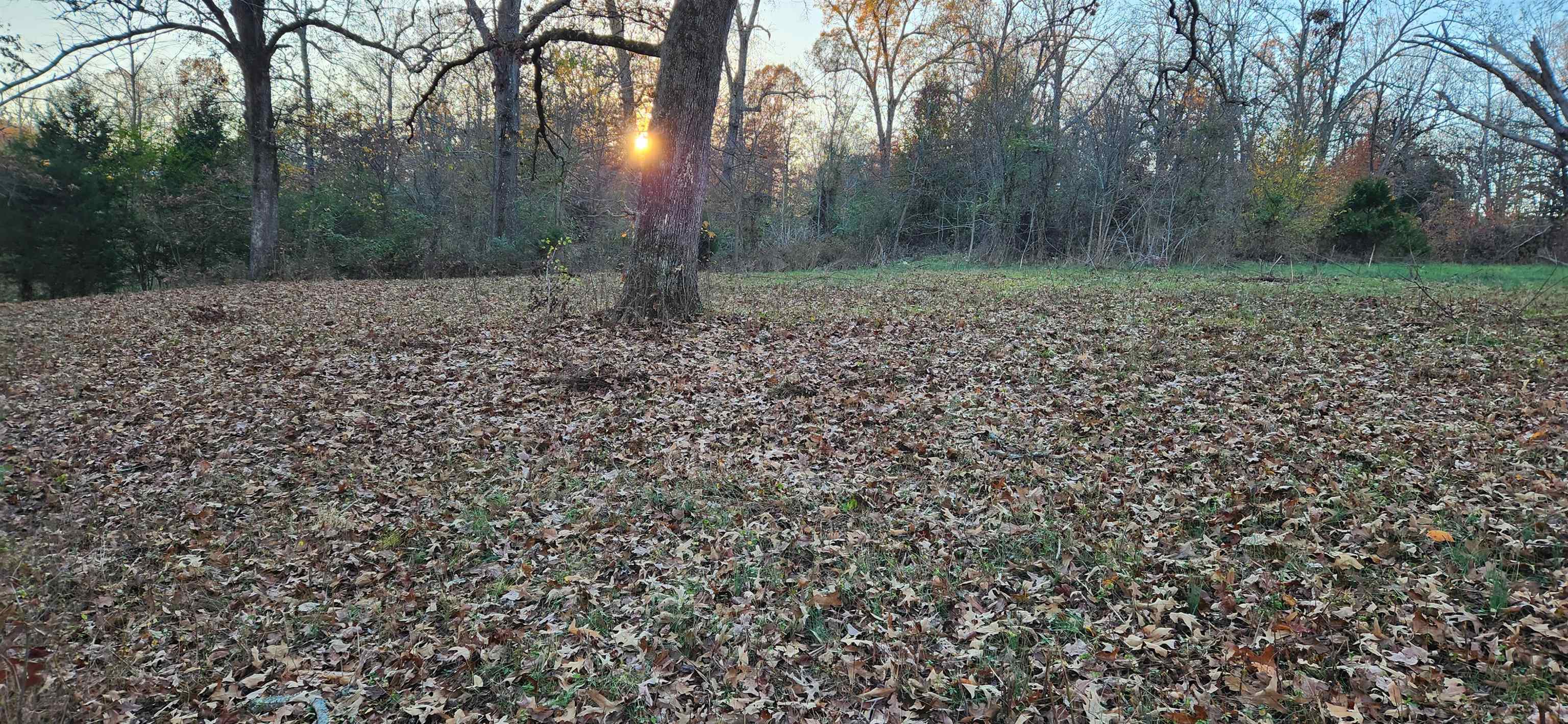 Metes & Bounds - Land