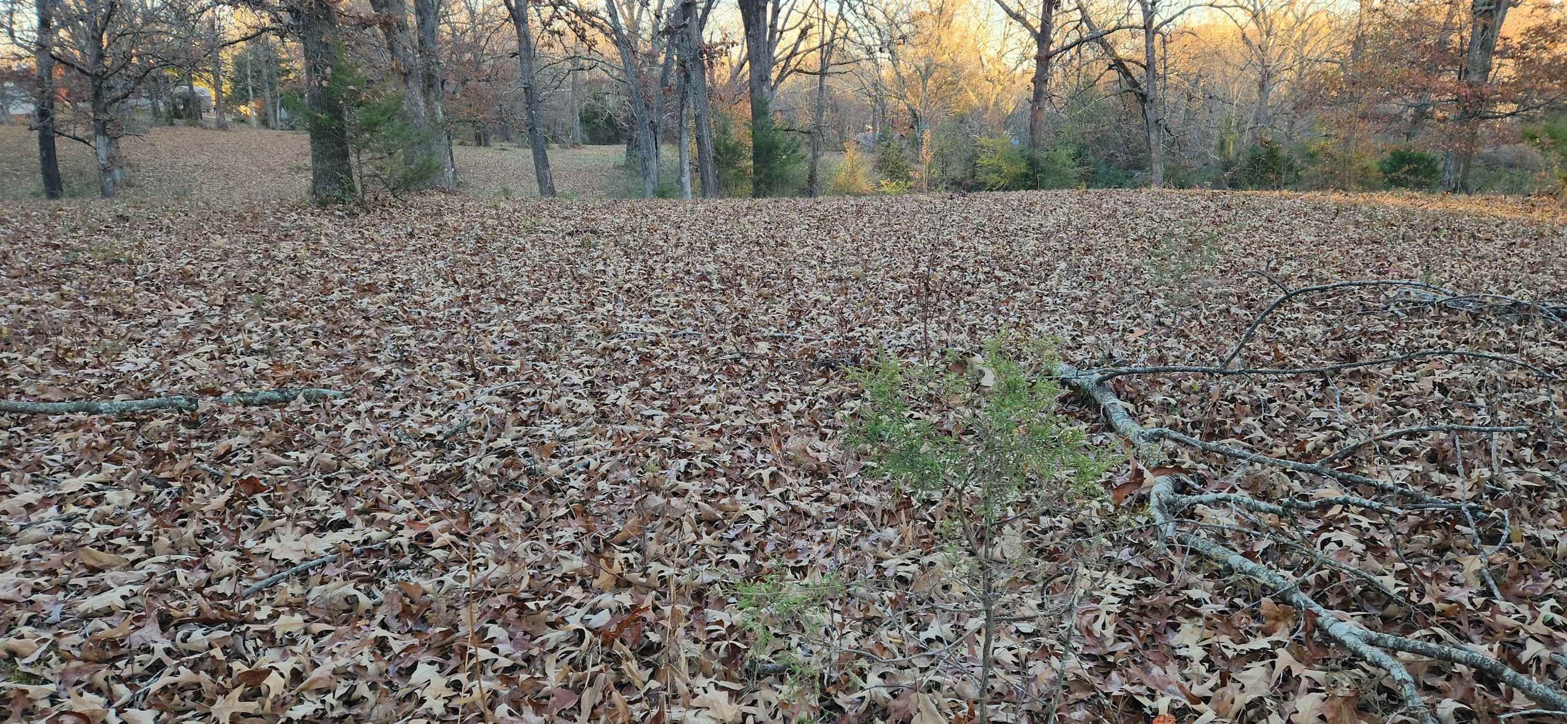 Metes & Bounds - Land