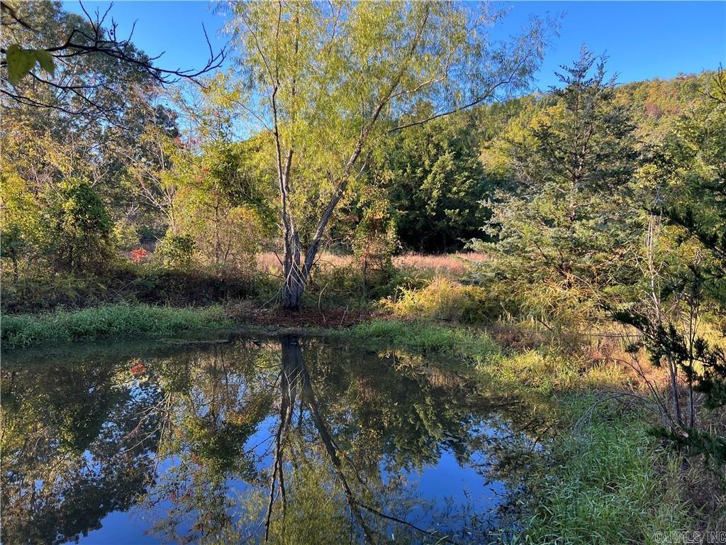This stunning 78-acre property is located in the charming Snowball Community, not far from the Buffalo National River, Ozark National Forest, and Richland Creek. A haven for nature lovers and hunters alike, this raw land offers endless potential for development. With abundant wildlife and the possibility of elk hunting or viewing. The neighbors have saw elk in the past. This property is a true hunterās paradise. The land boasts gravel county road frontage, making it easily accessible while maintaining a peaceful, secluded feel. Whether youāre looking to create your own hunting retreat, a weekend getaway, or a private homestead, this property provides a blank canvas surrounded by the breathtaking beauty of the Ozarks. Donāt miss this opportunity to own a slice of Arkansas wilderness.