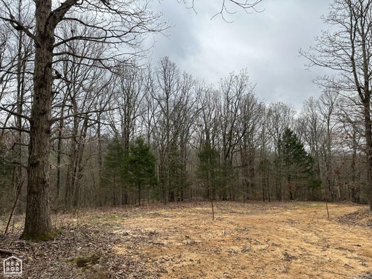 LOT 3 RABY ROAD, HARRISBURG, AR 72432 - Image d7b6c15afaee8a6eac5e2300aac45fd0/2279331527