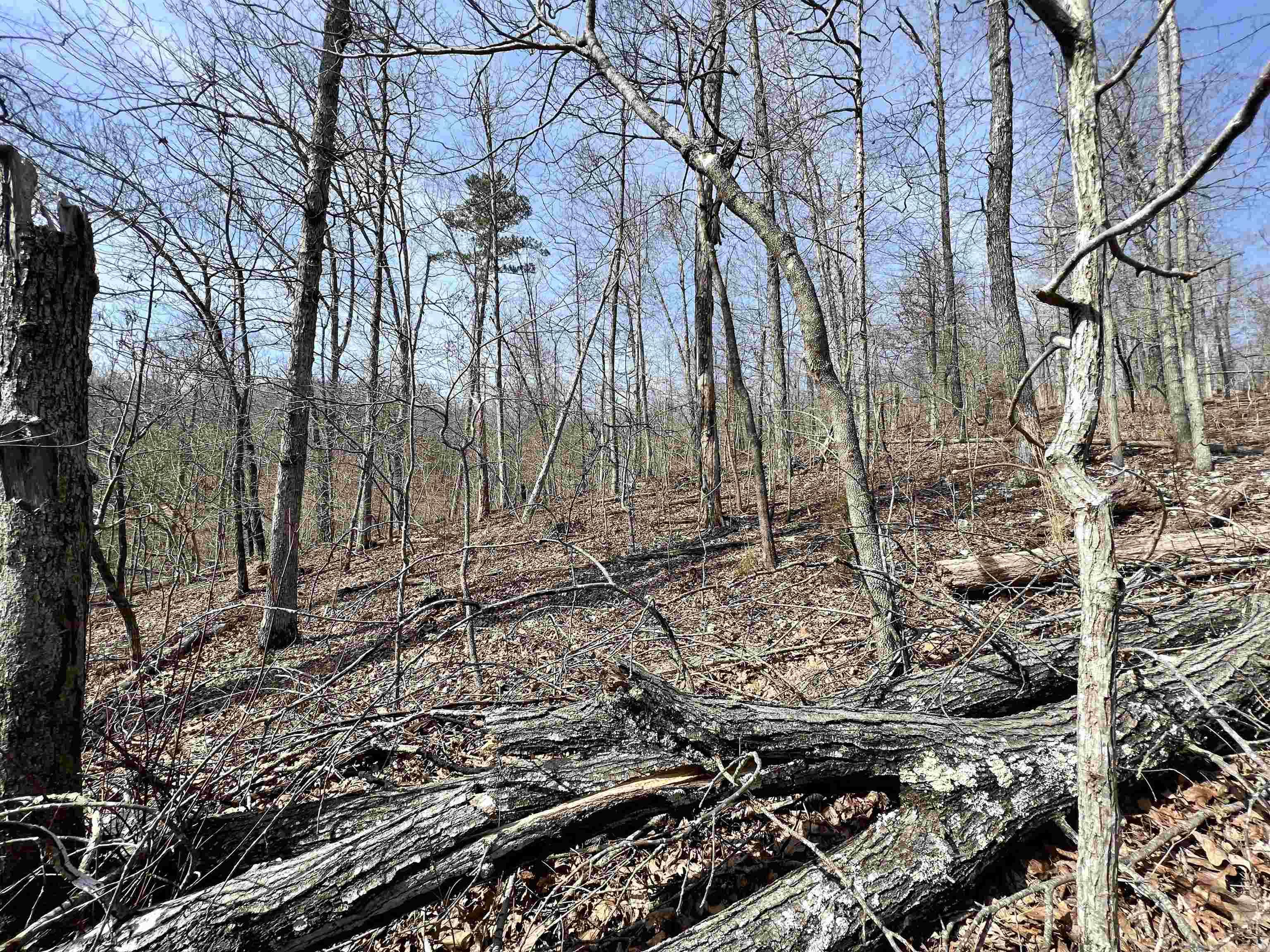 Not in Subdivision - Land