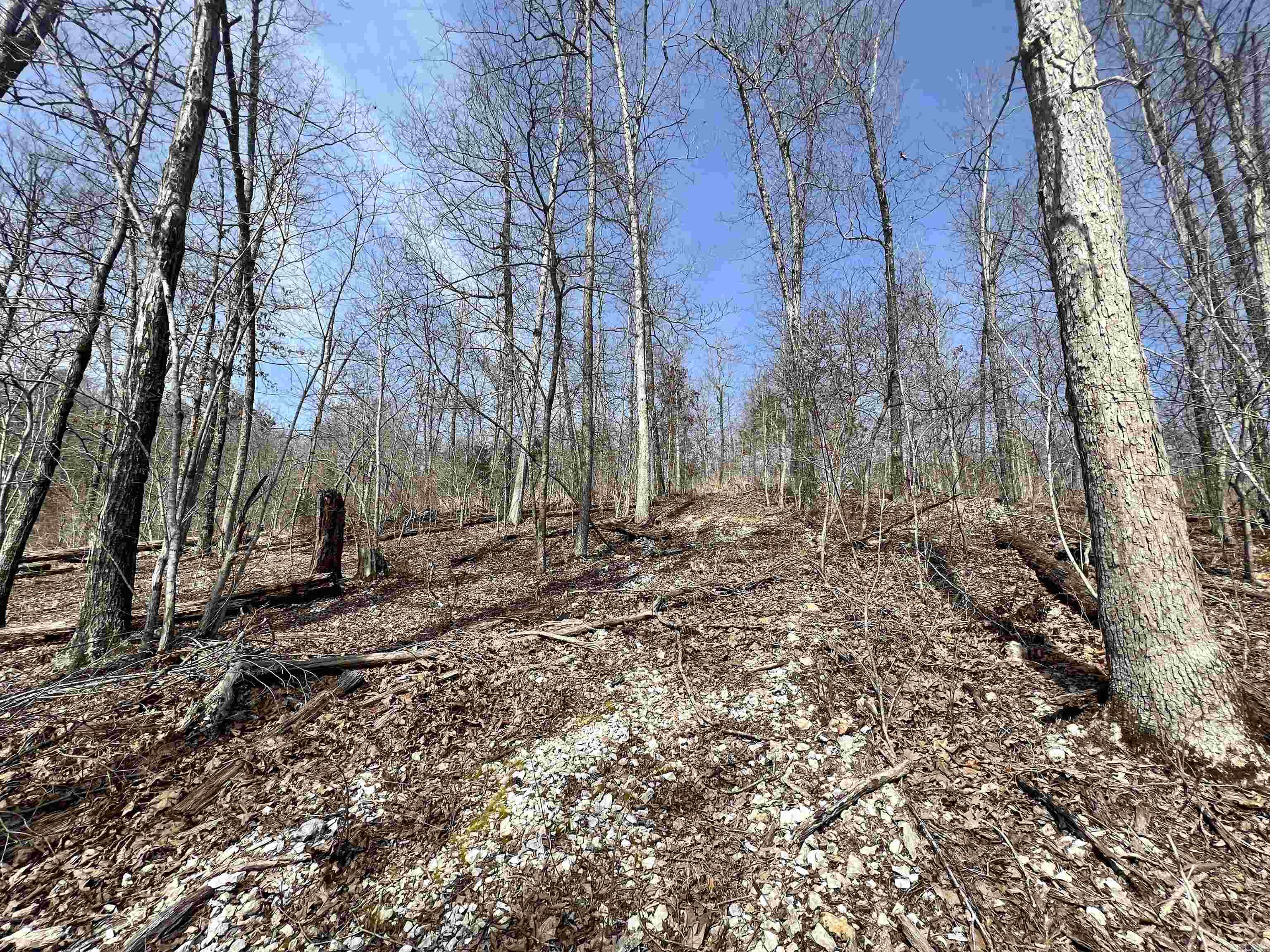 Not in Subdivision - Land