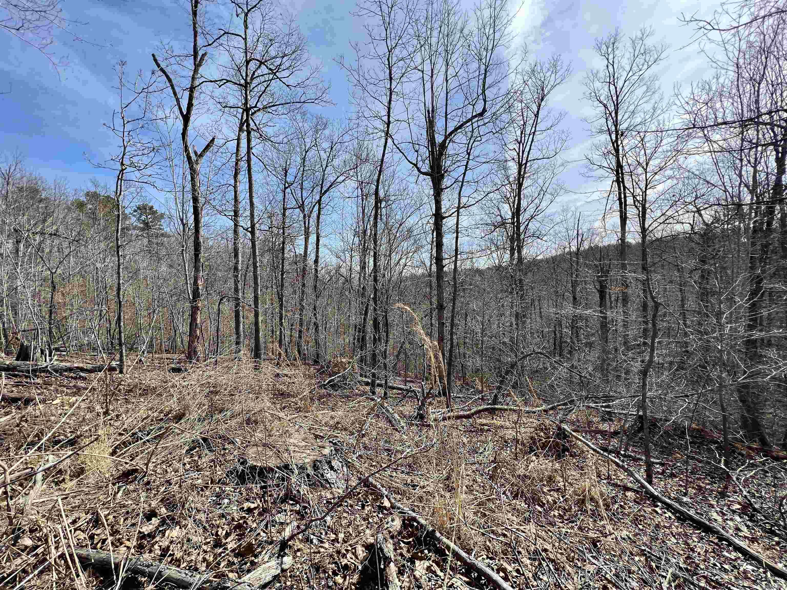 Not in Subdivision - Land