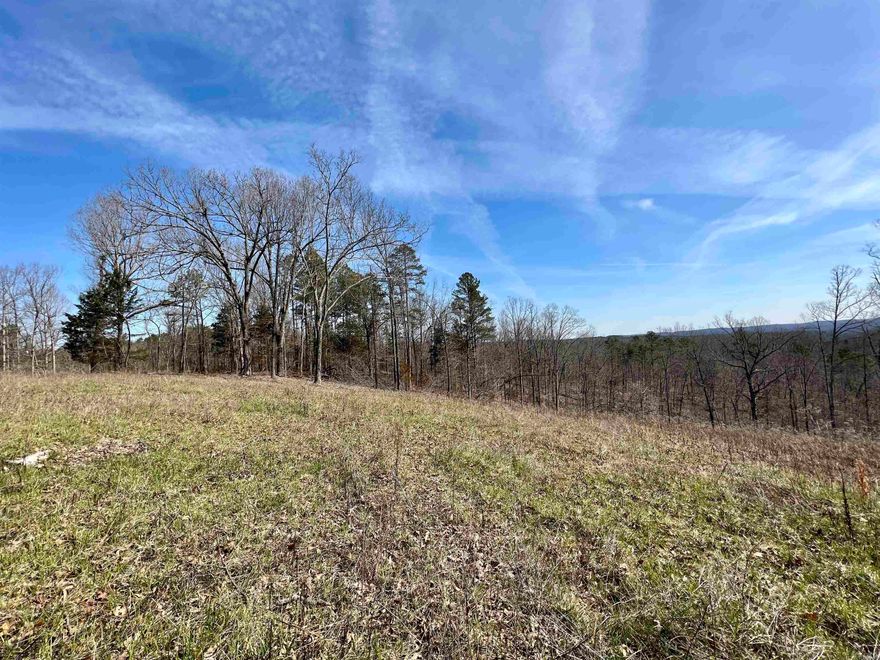 11acres m/L located along Searcy county line.  Less than 2 miles from Buffalo river access.  Power along road at property.  Great Southern facing site to build.