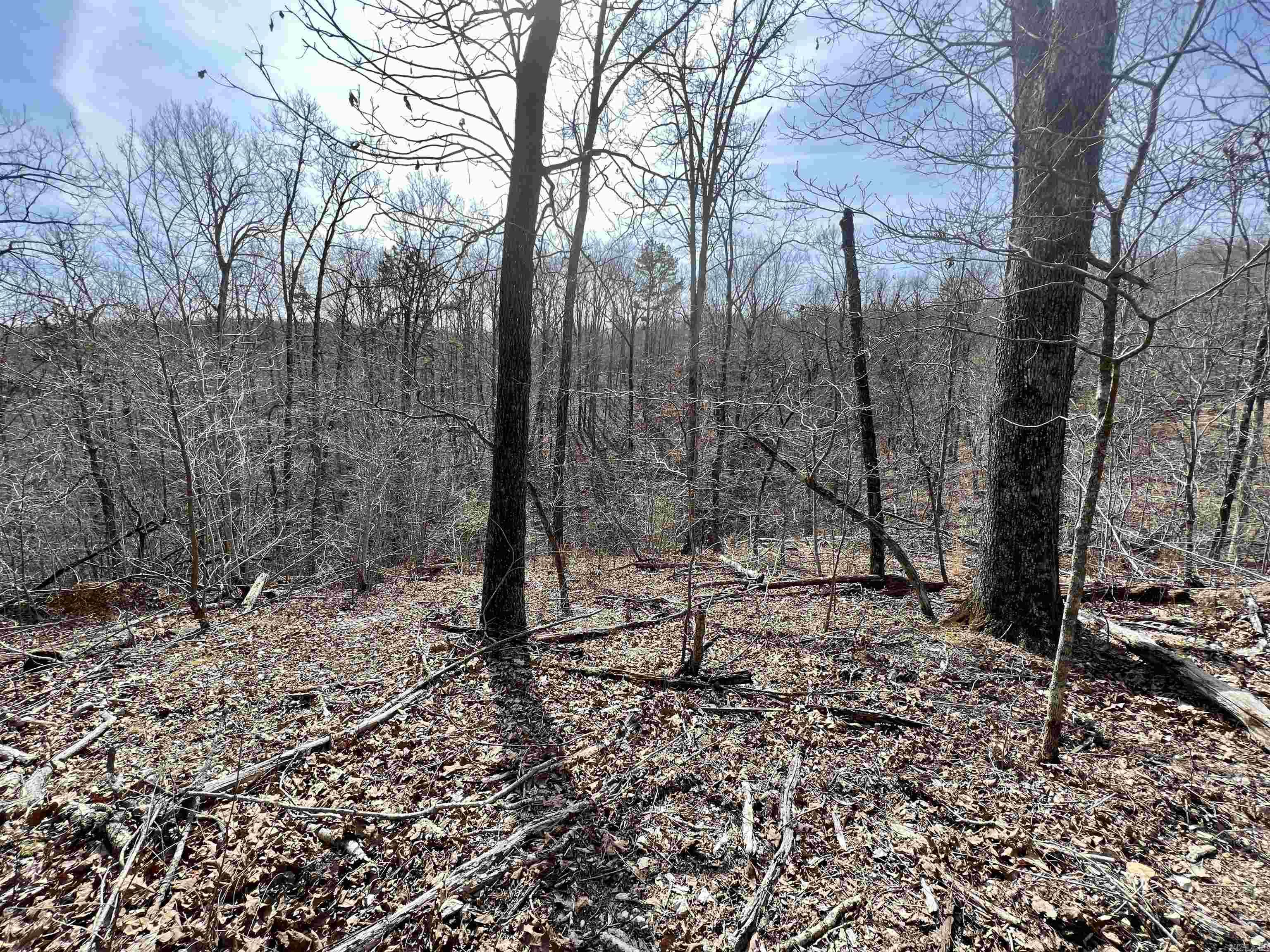 Not in Subdivision - Land