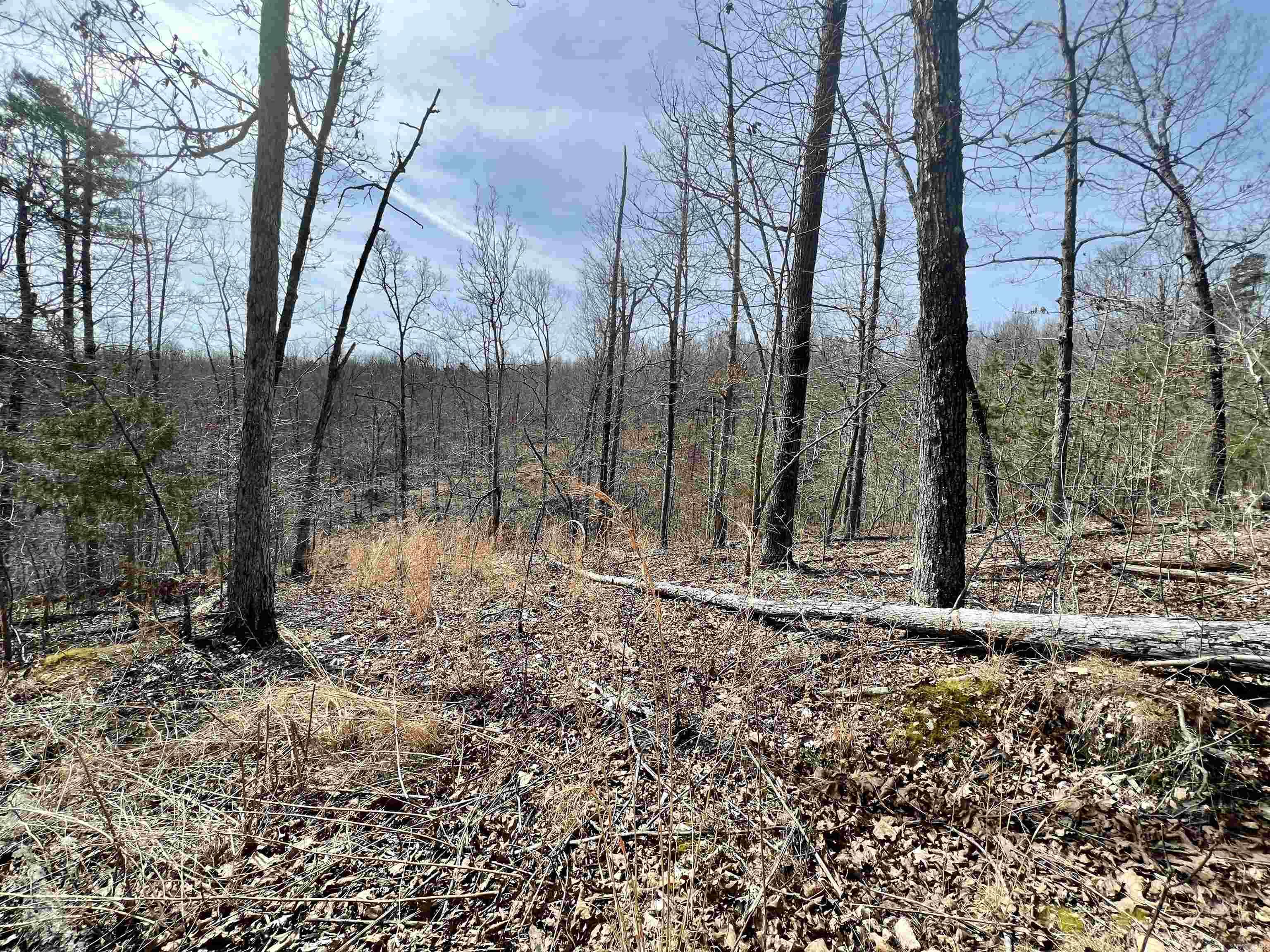 Not in Subdivision - Land