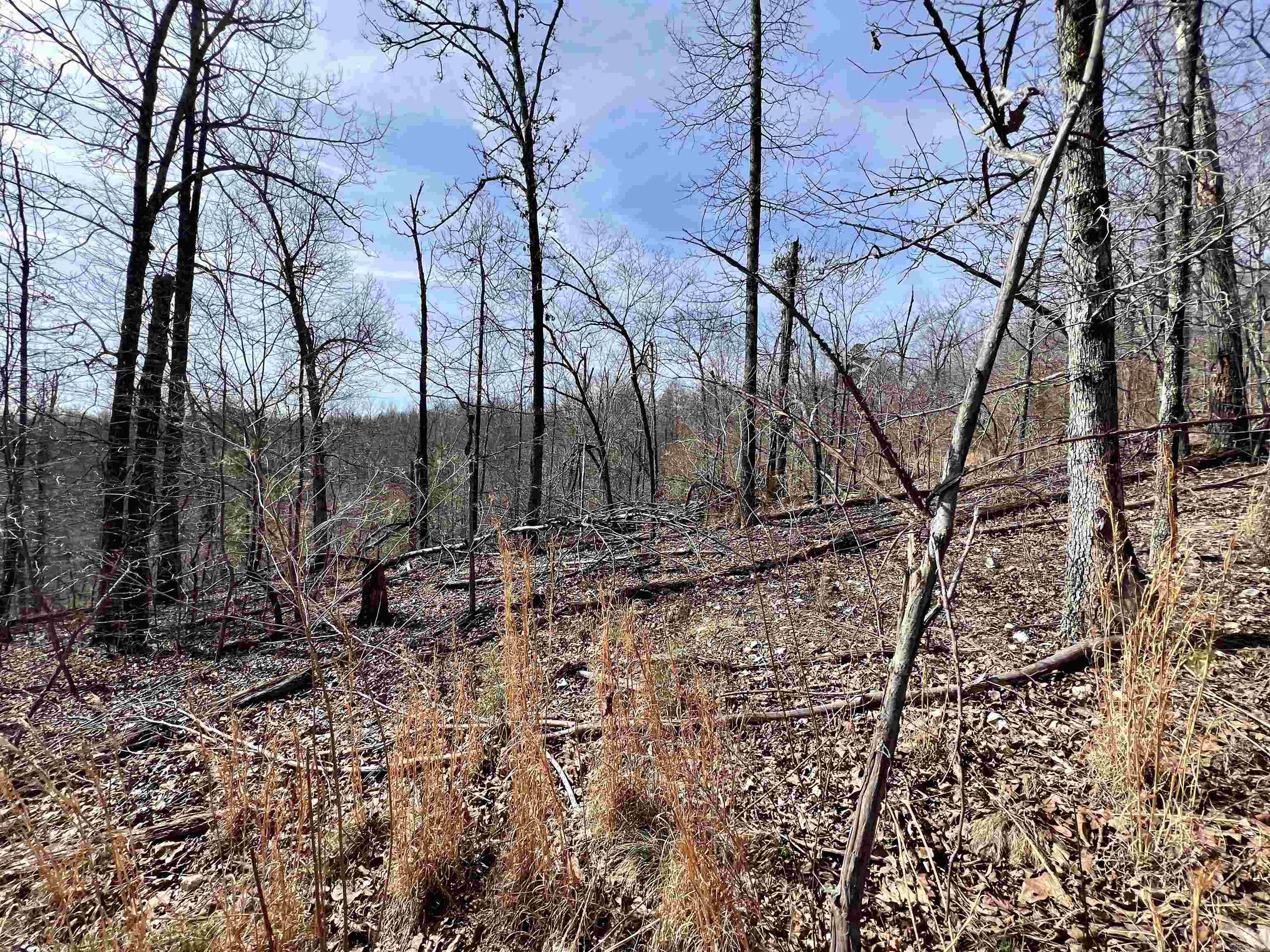 Not in Subdivision - Land