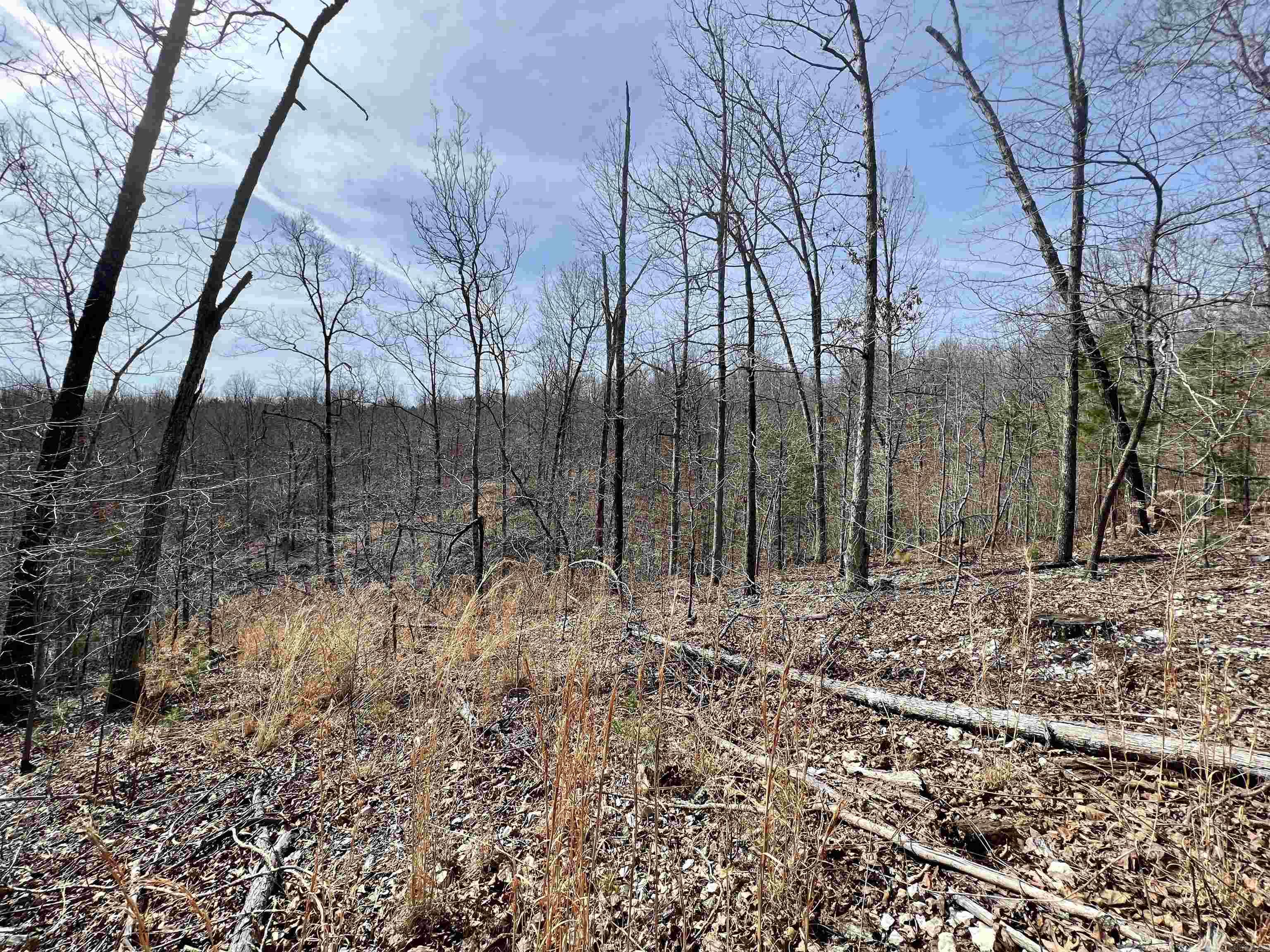 Not in Subdivision - Land