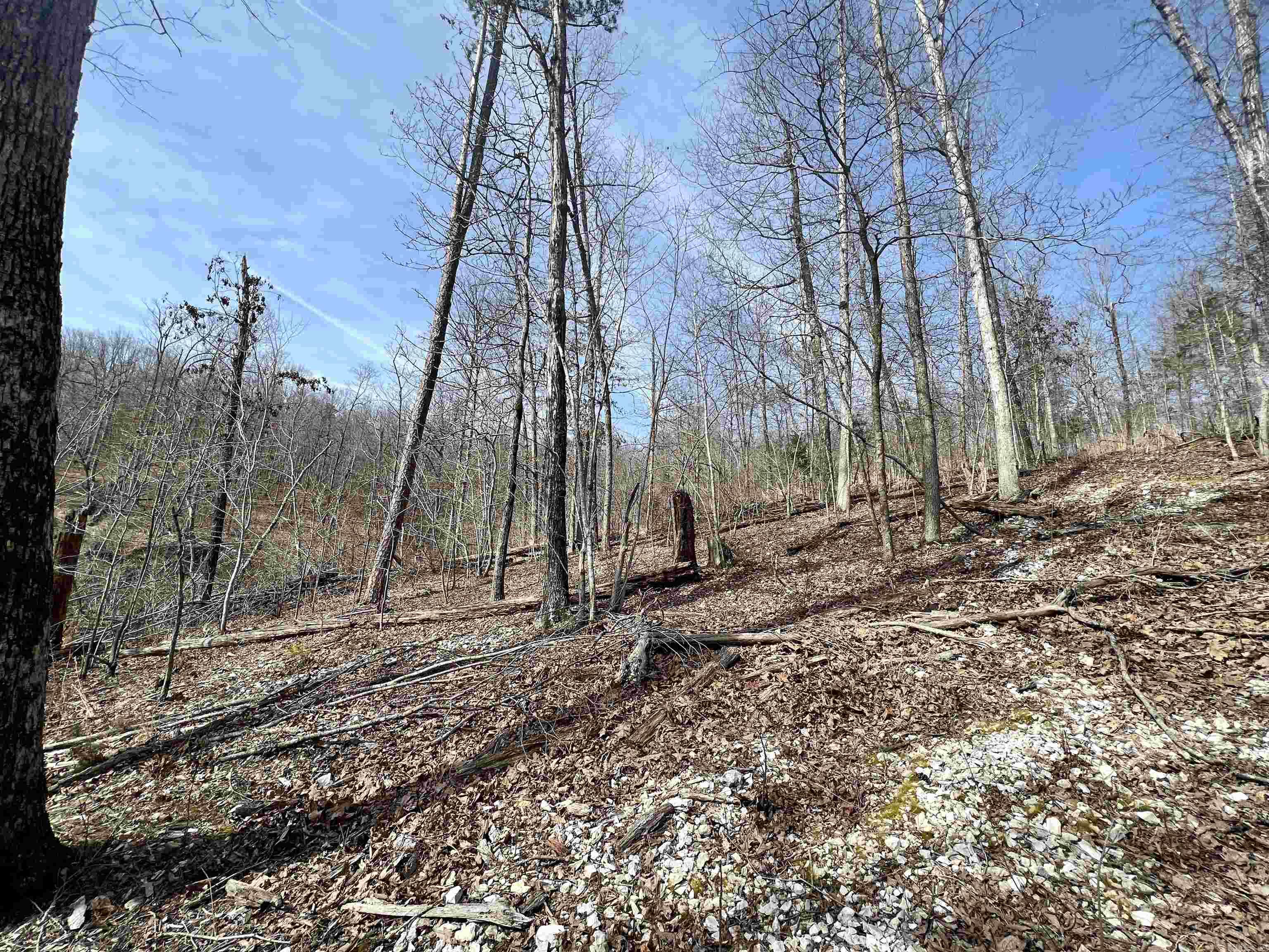 Not in Subdivision - Land