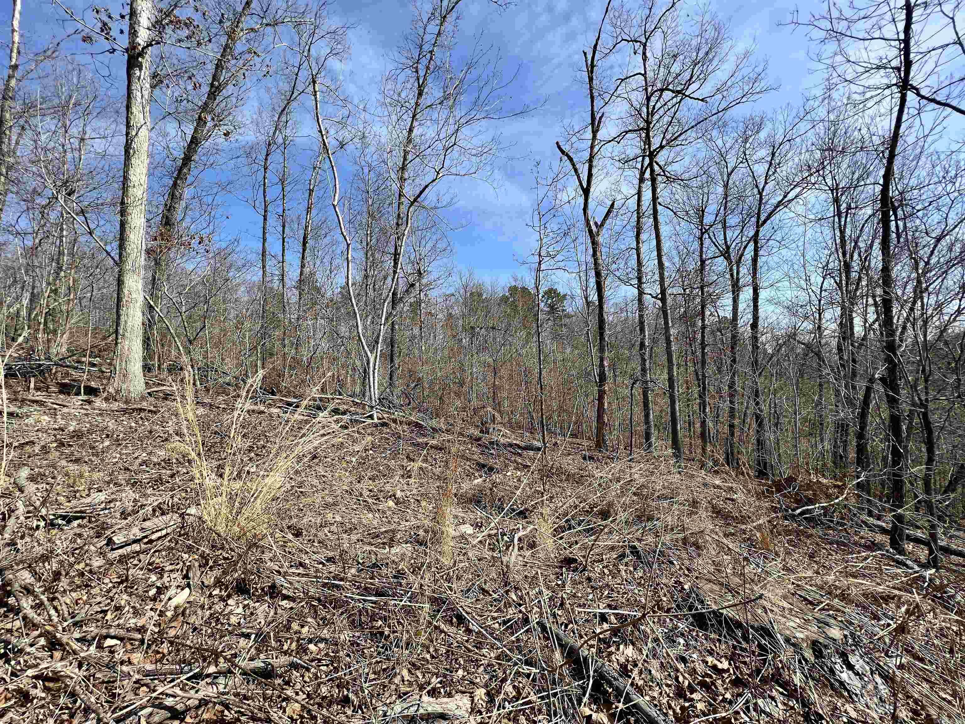 Not in Subdivision - Land