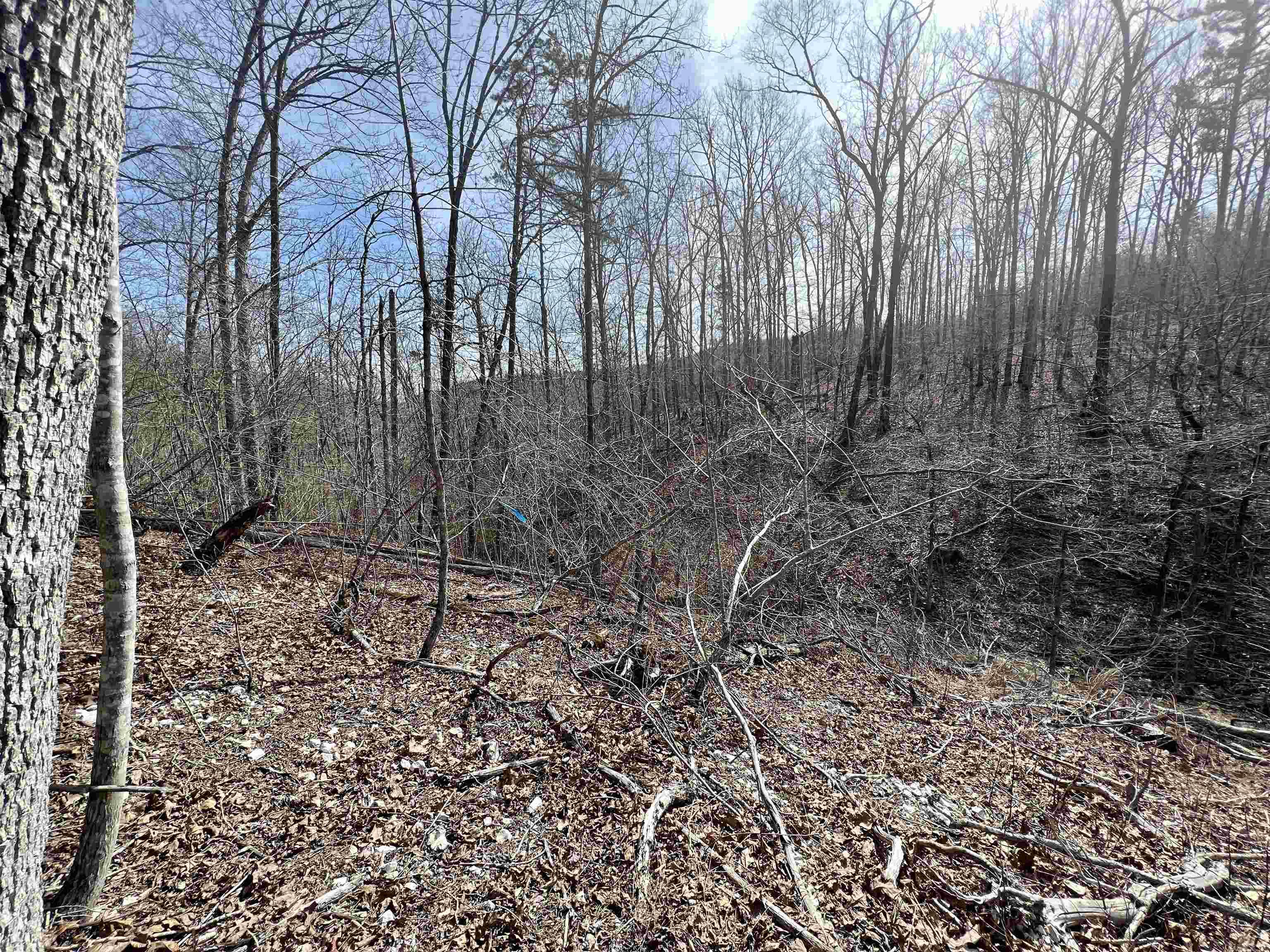 Not in Subdivision - Land