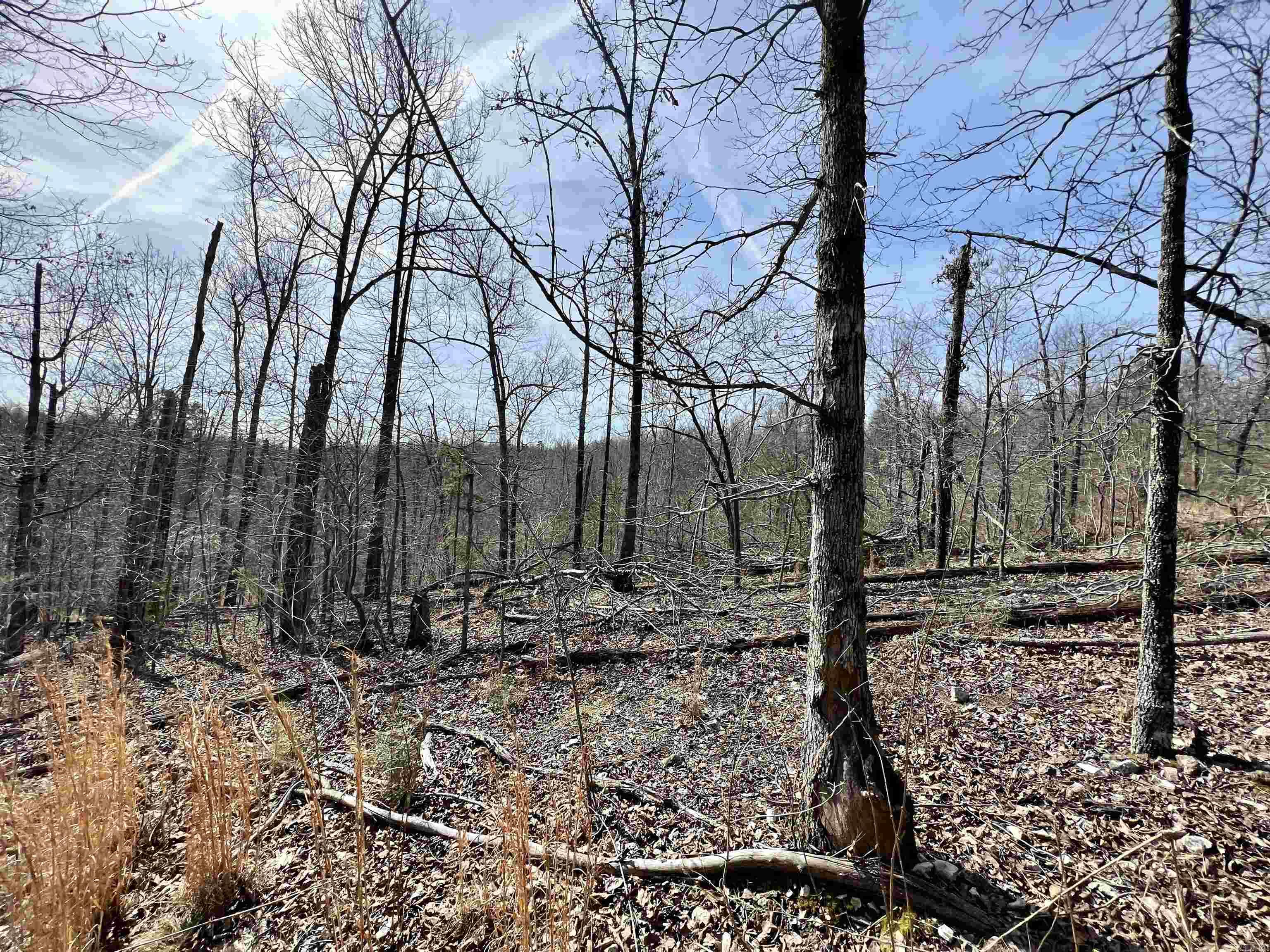 Not in Subdivision - Land