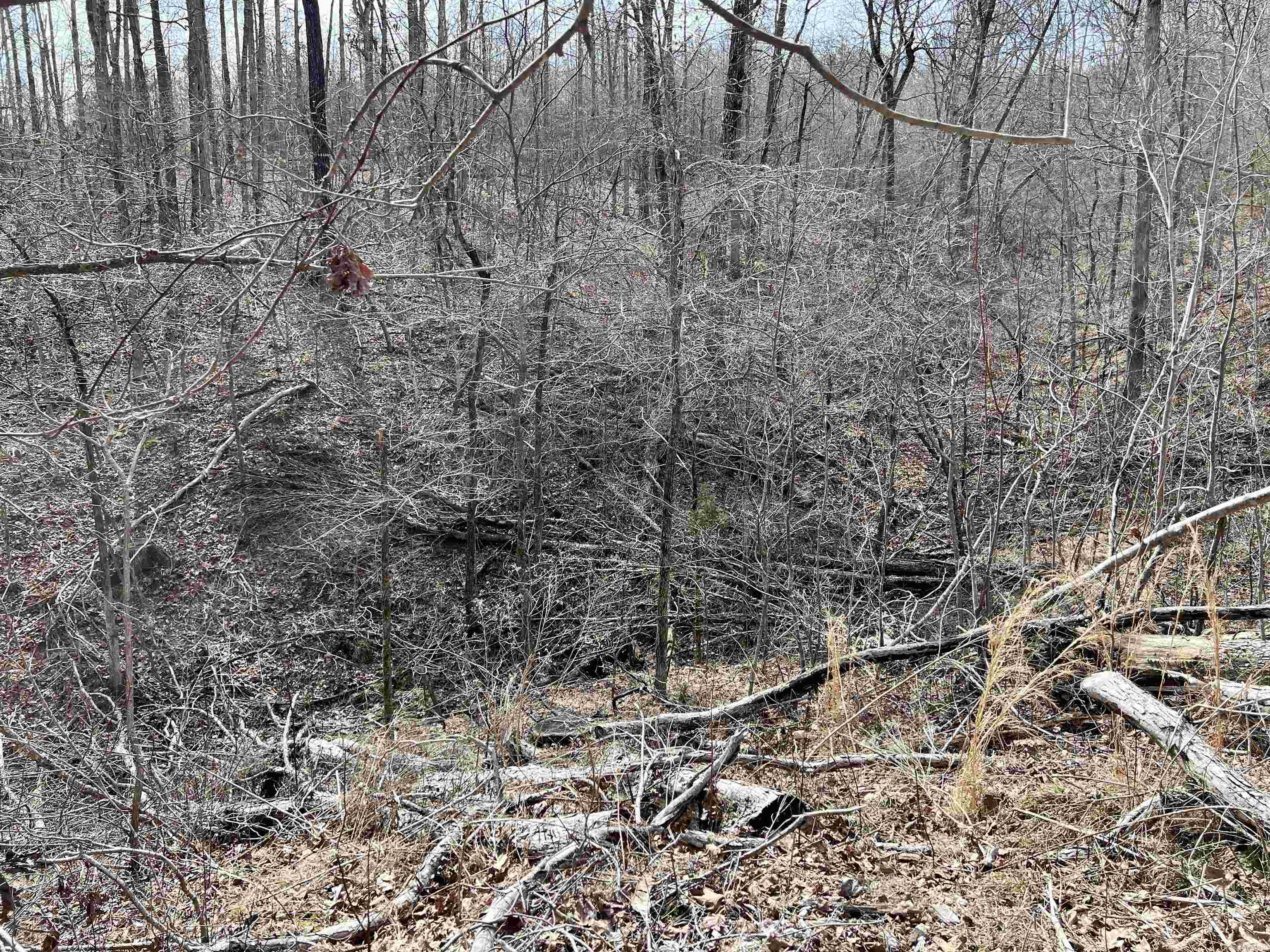 Not in Subdivision - Land