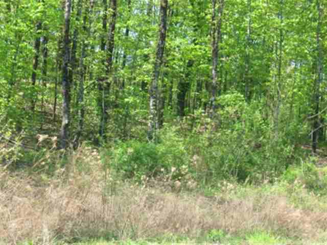 The Ridge at Treasure Hill - Land