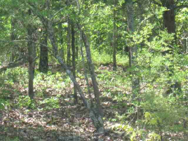 The Ridge at Treasure Hill - Land