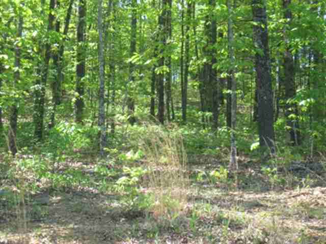 The Ridge at Treasure Hill - Land