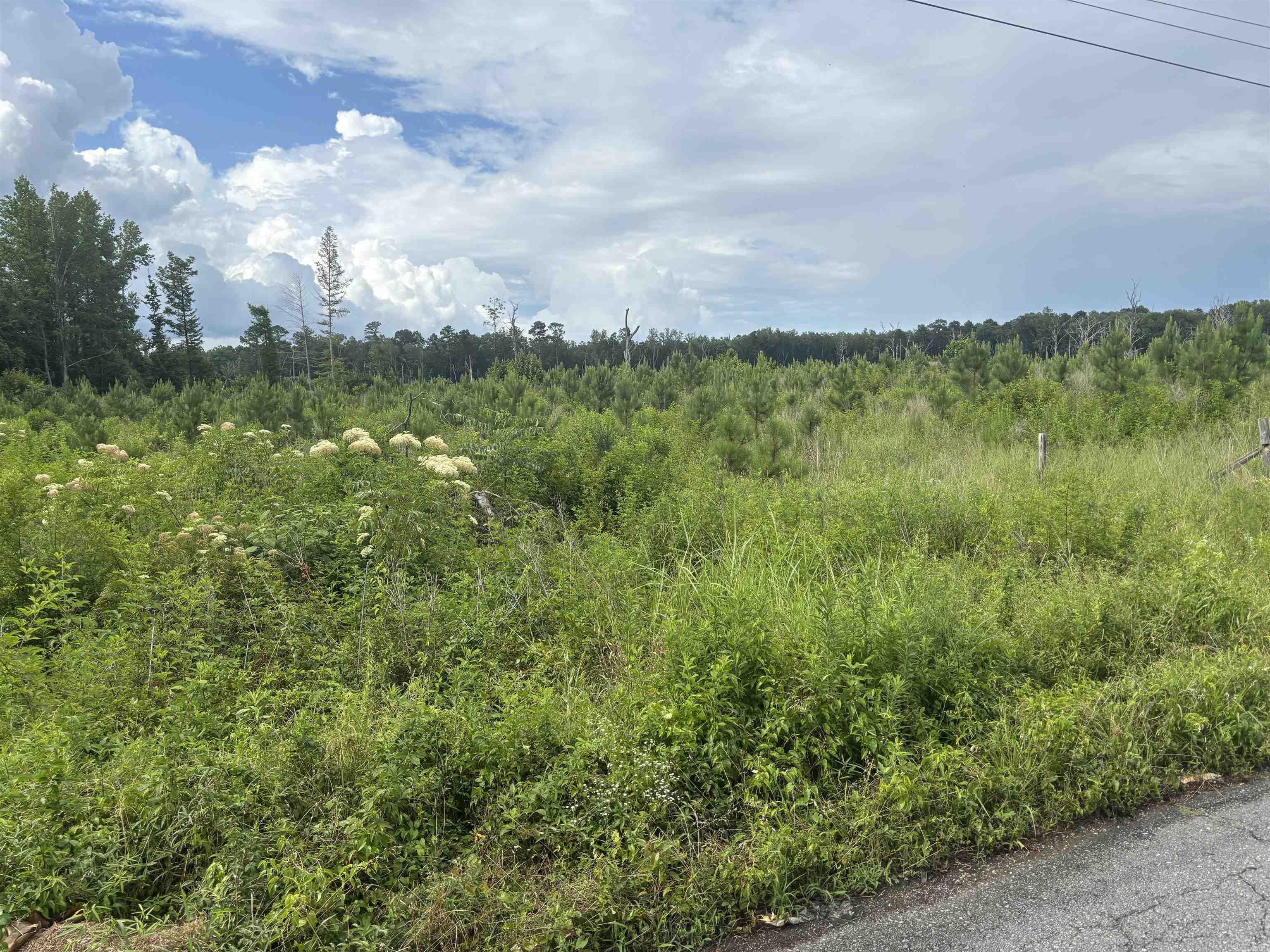 Metes & Bounds - Land