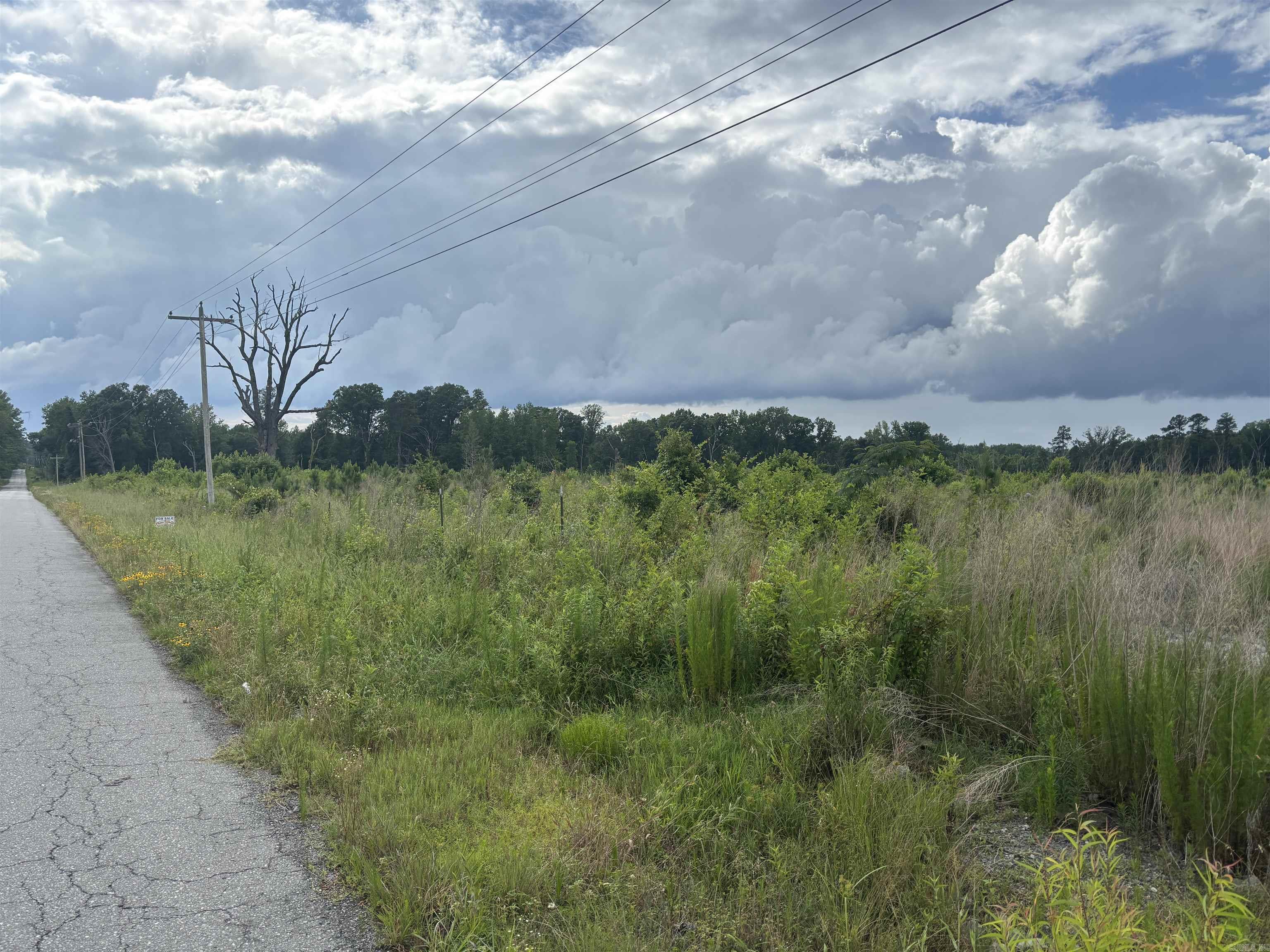 This property has an approximately a 3 1/2 year growth of pine timber. Suitable for subdivision or to build a home and have acreage. Will divide into two 20 acres partials