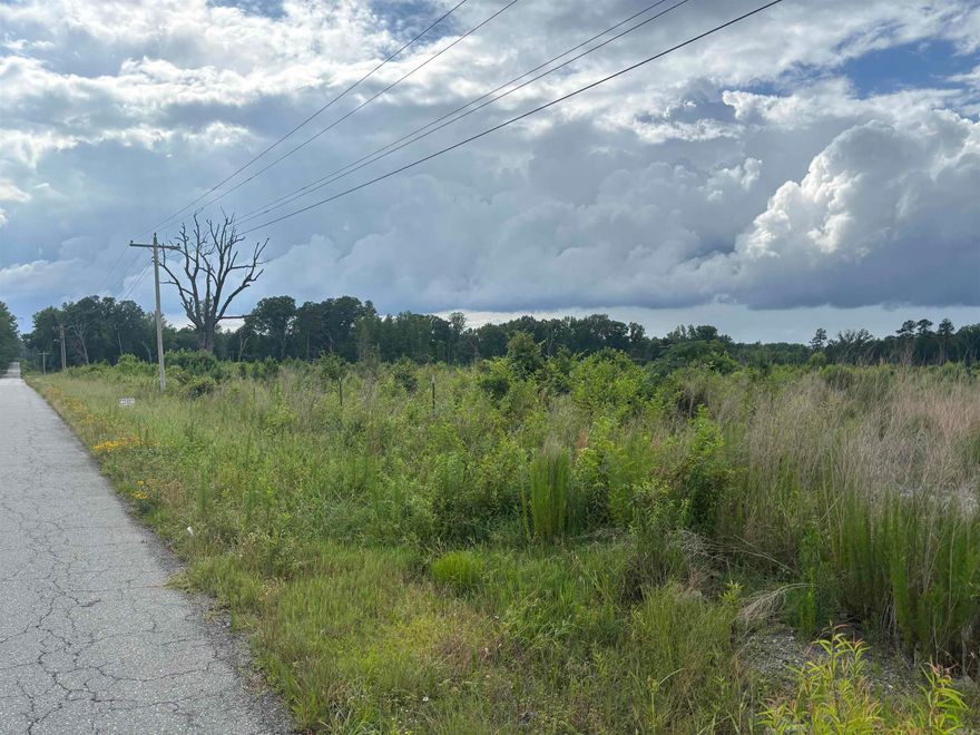 This property has an approximately a 3 1/2 year growth of pine timber.  Suitable for subdivision or to build a home and have acreage. Will divide into two 20 acres partials