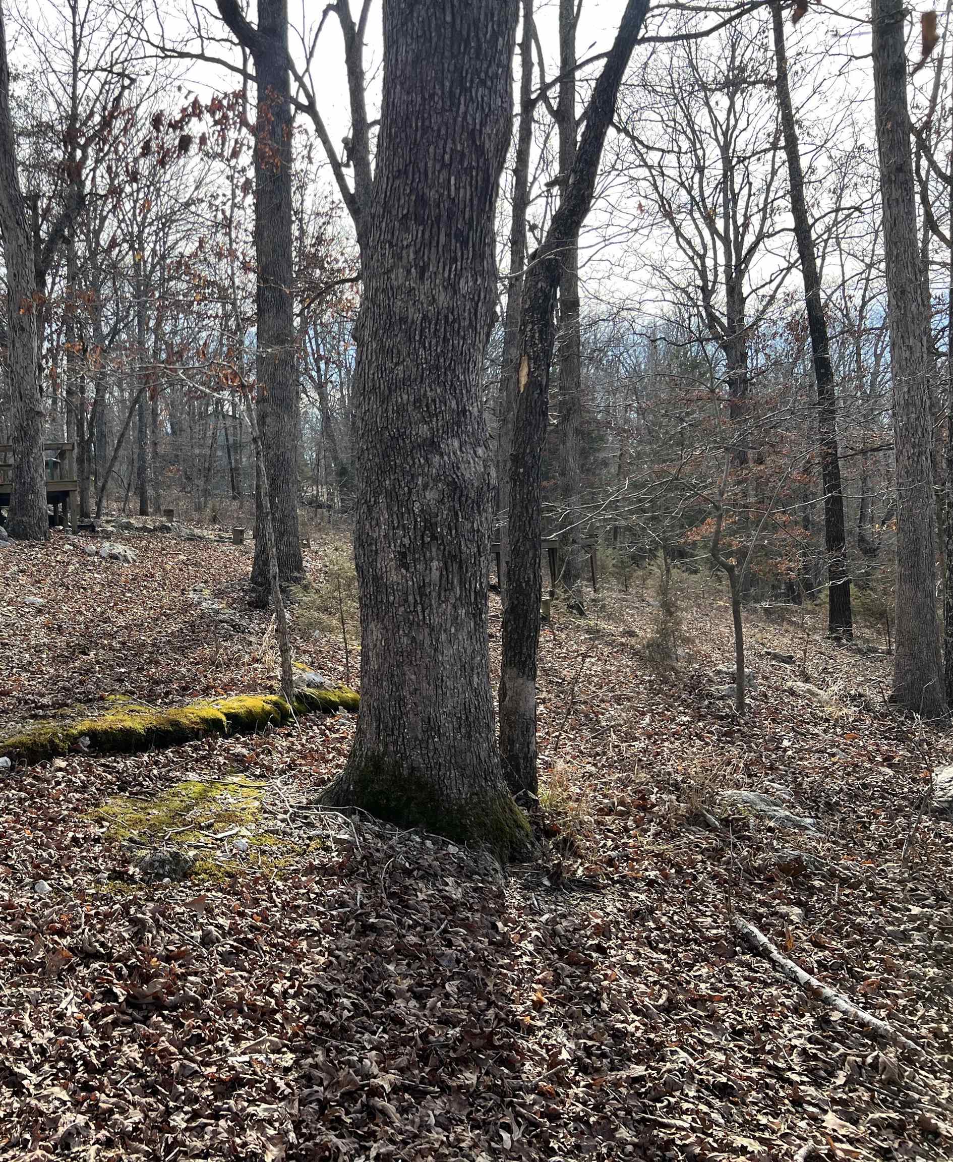 White Horse Mountain - Land