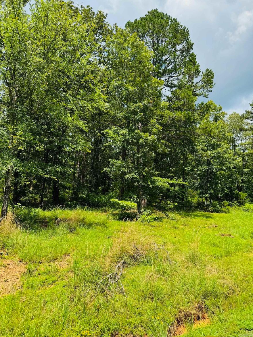 Are you dreaming of retreating to the beautiful Little Red River? This picturesque land is the perfect place to build your cozy dream home. Escape the hustle and enjoy a quiet community that offers a private community pool, boat ramp and dock on the Little Red River and minutes away from Greers Ferry Lake! This gated community offers modern amenities, access to hiking trails, boating, swimming and world-record trout fishing. Access to all the Natural State has to offer is only an offer away. Let us make your dream a reality!